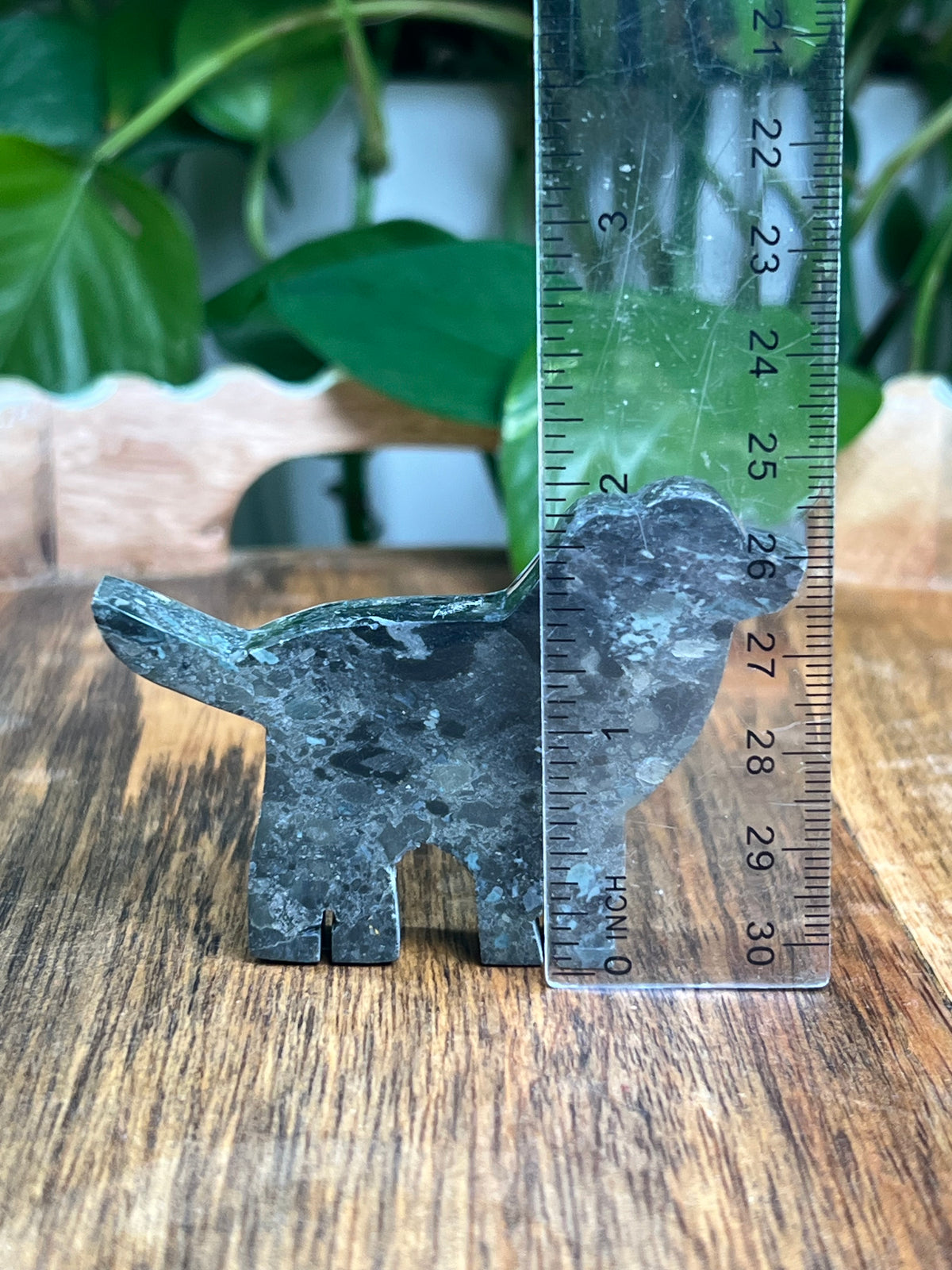 Blue Green Jasper Dog: BK