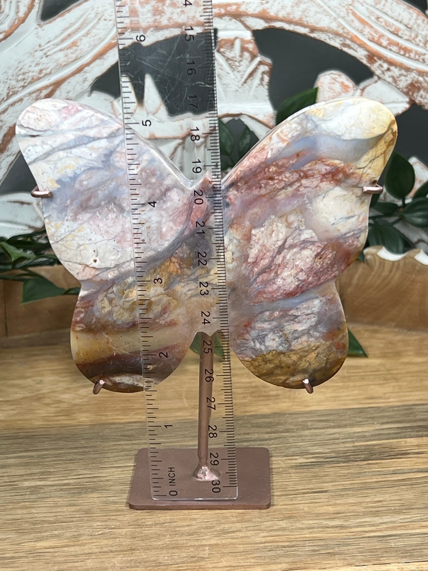 River Jasper Butterfly