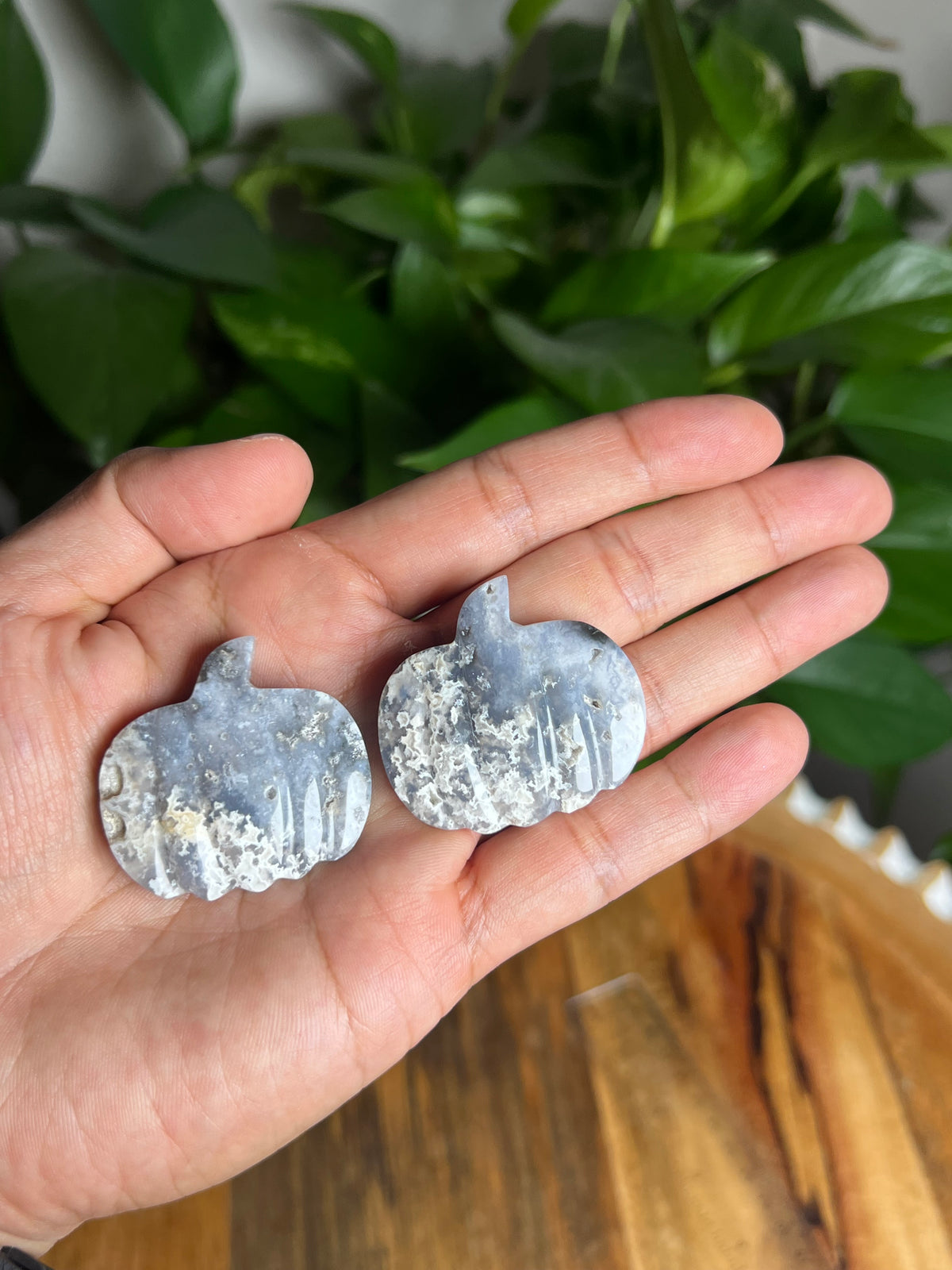 Blue Plume Agate Mini Pumpkin