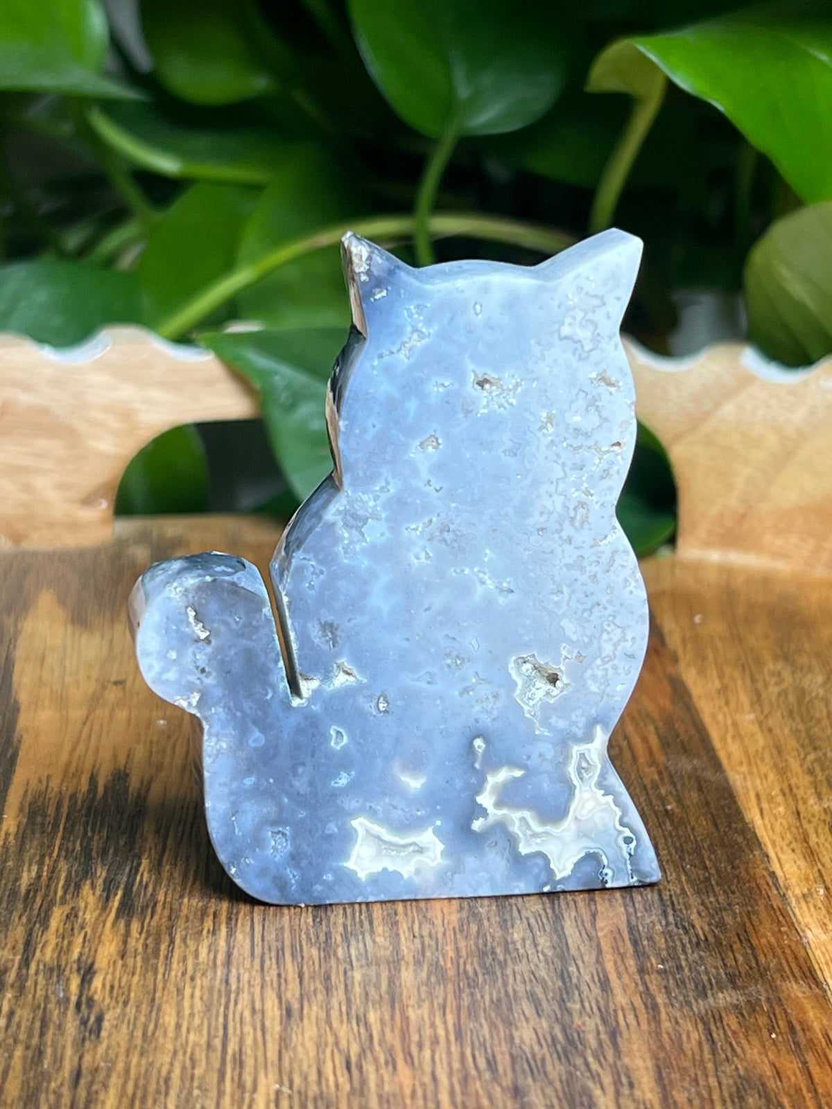 Blue Plume Agate Cat: BD