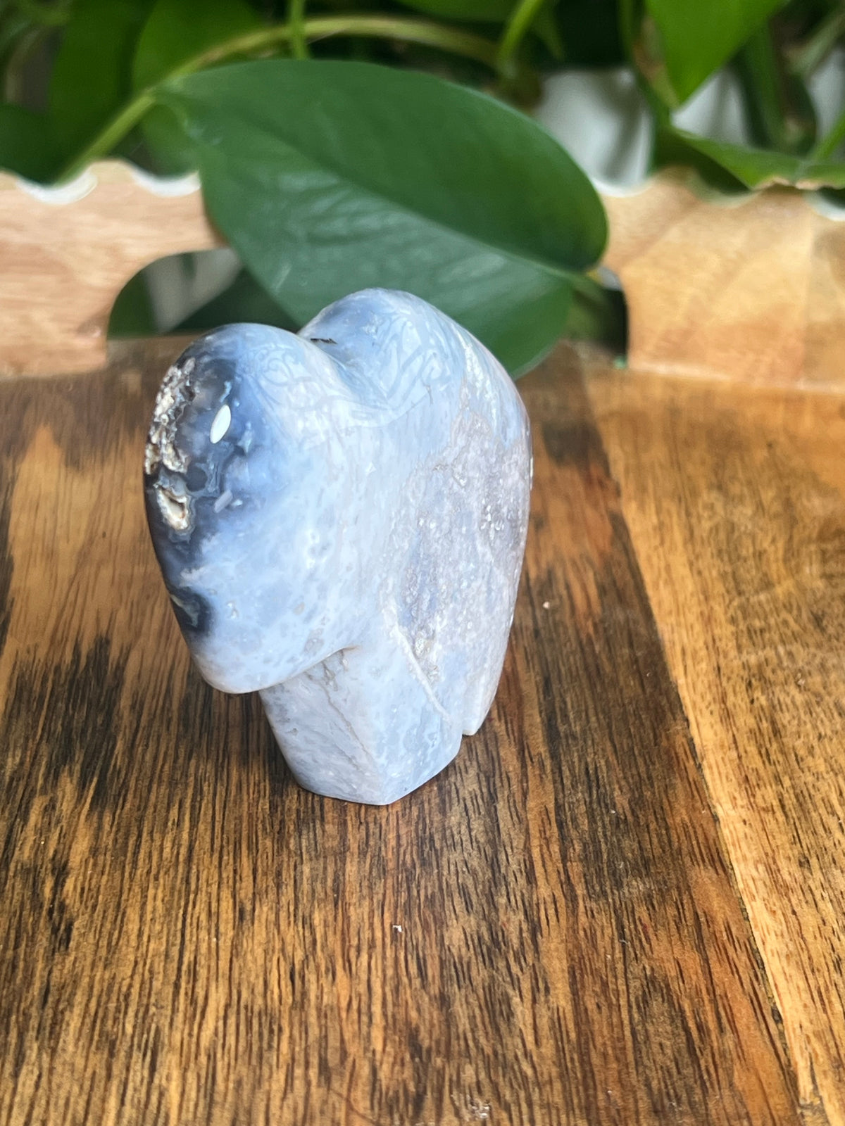 Blue Plume Agate Buffalo: BN