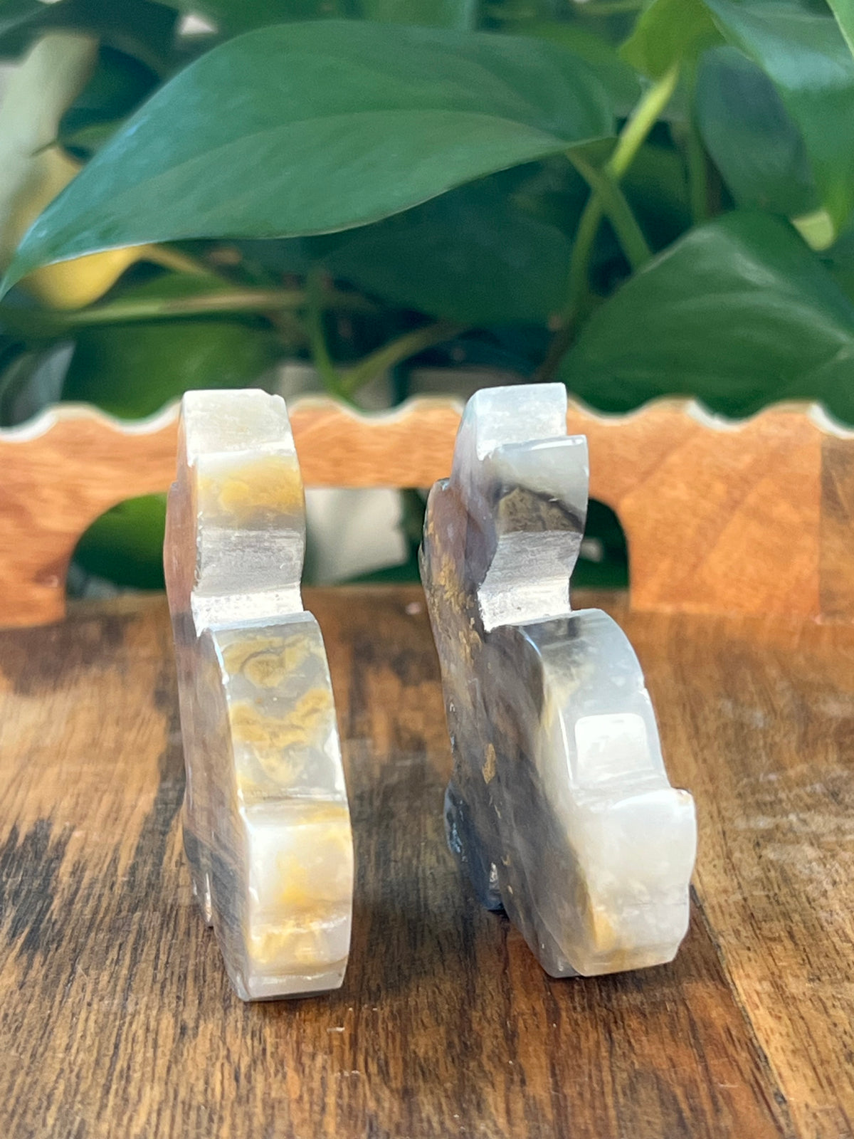 Dendritic Tiger Agate Bunnies