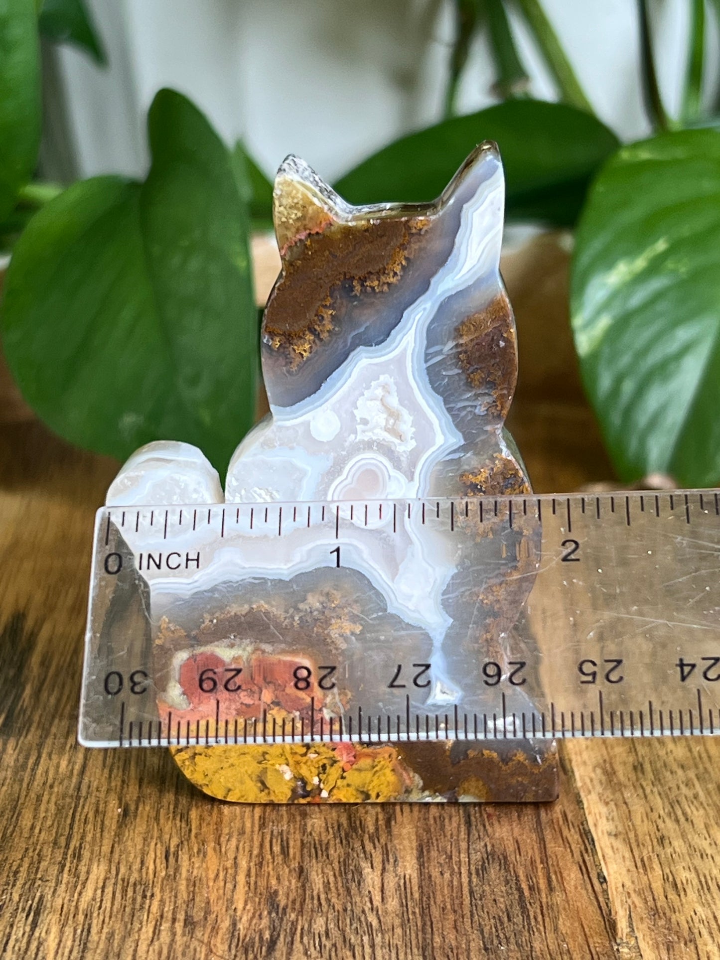 Scenic Moss Agate Cat HZ