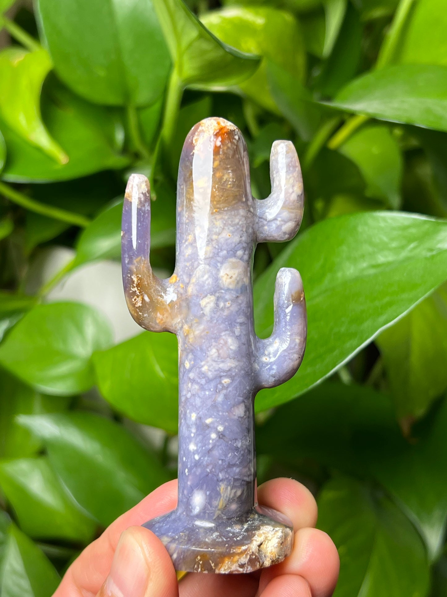 Purple Chalcedony Cactus