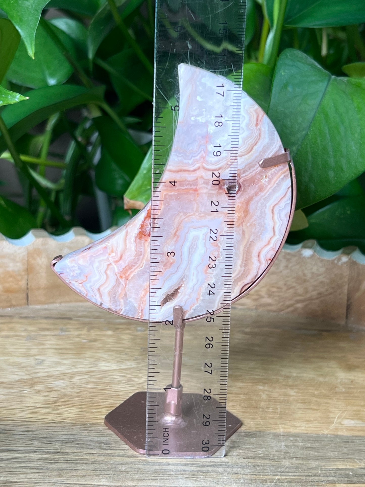 Crazy Lace Agate Moon