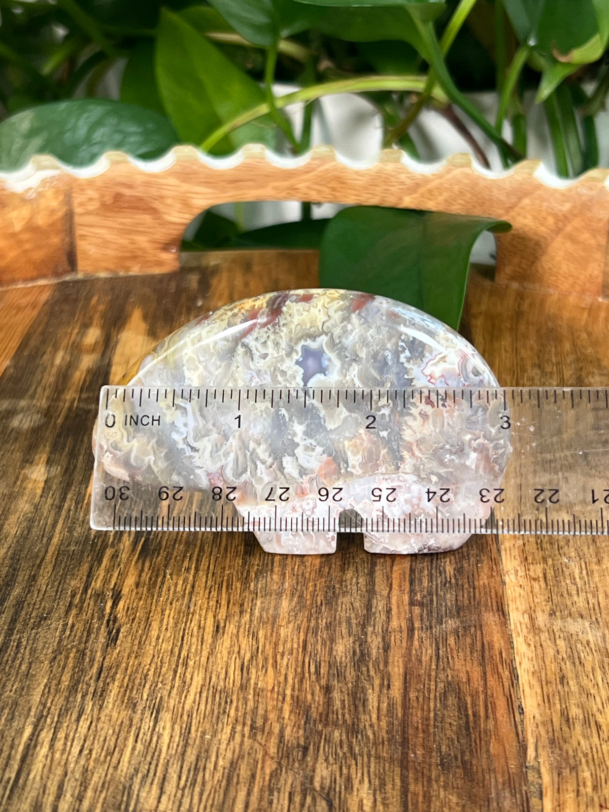 Sumatra Plume Agate Bears
