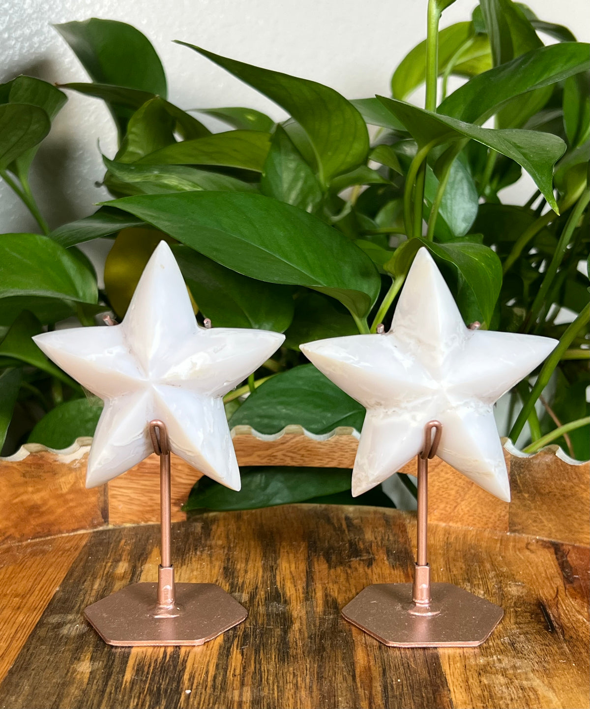 White Plume Agate Stars