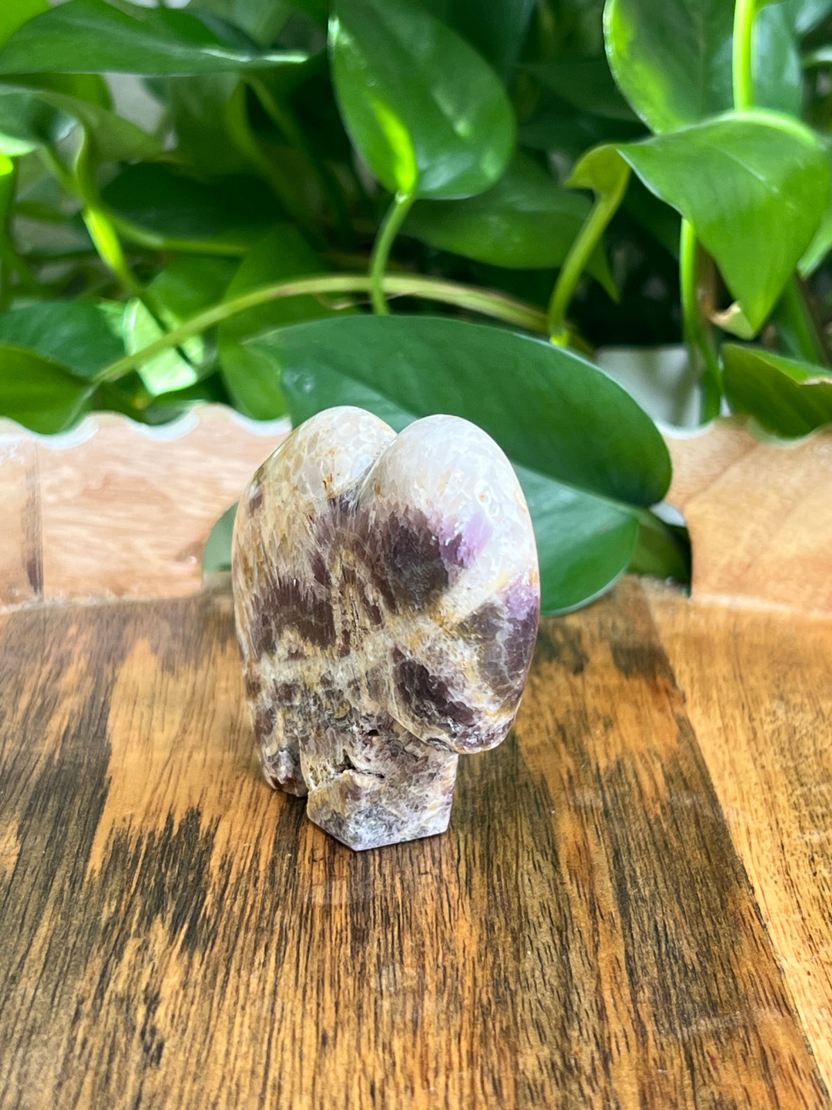 Indonesian Amethyst Buffalo: RC