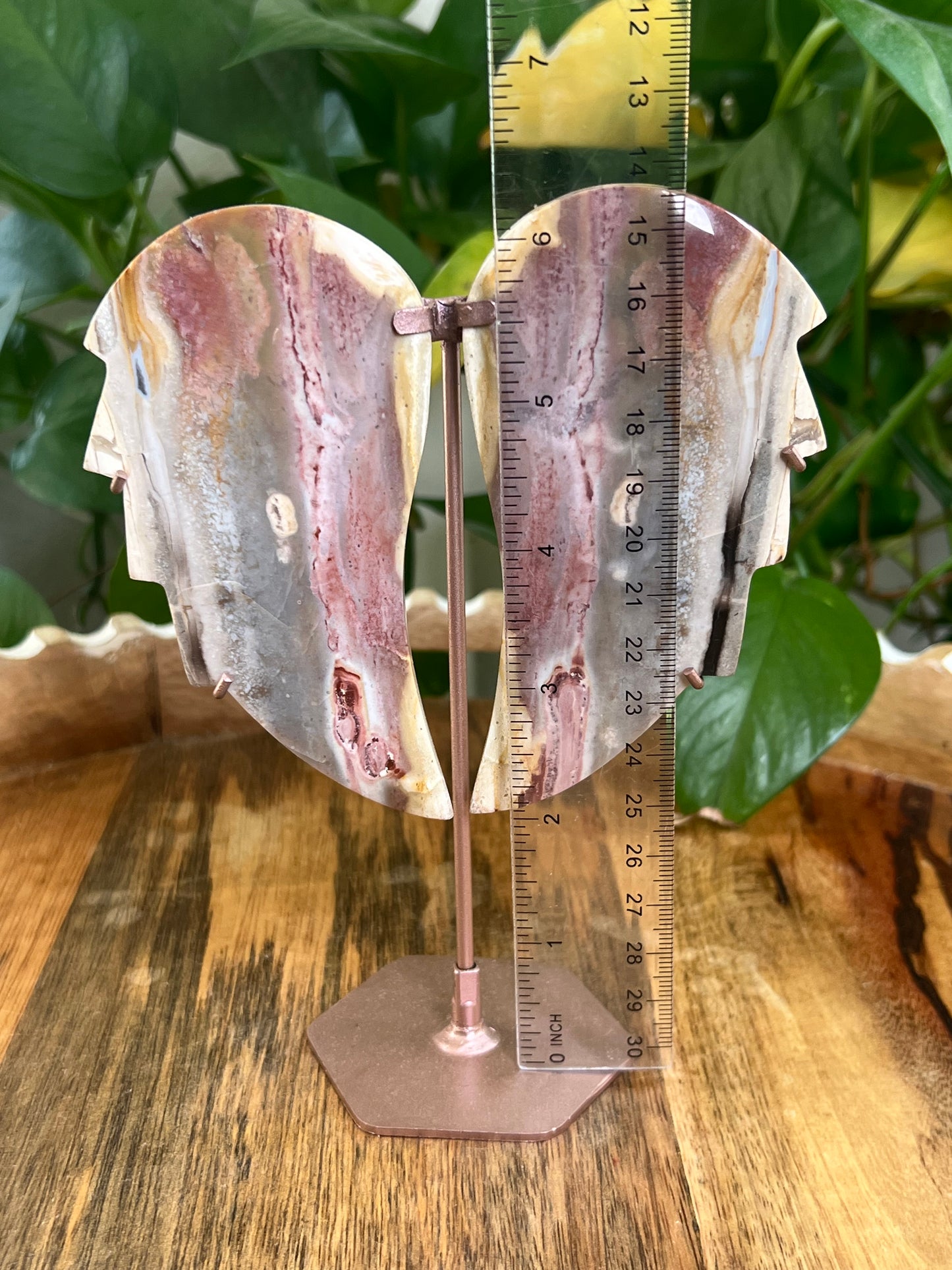 River Jasper Wings BL