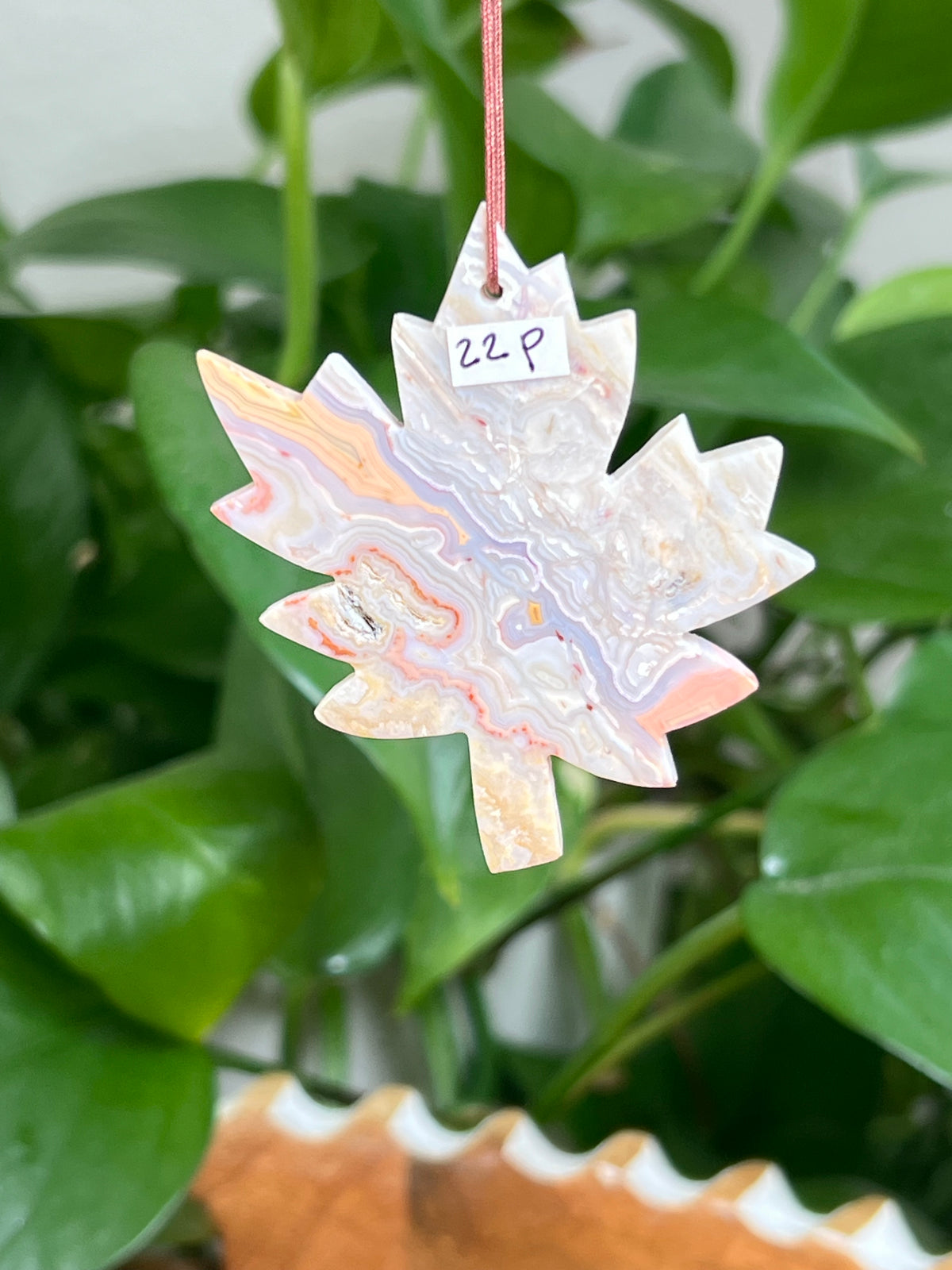 Crazy Lace Agate Ornament Leaf: P