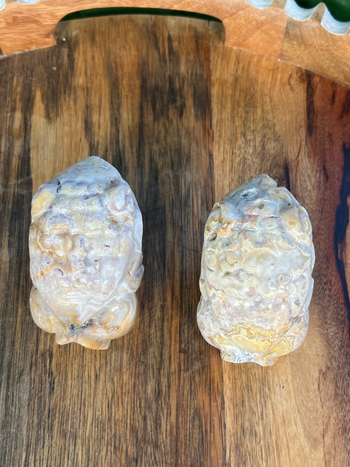 Yellow Crazy Lace Agate Frogs