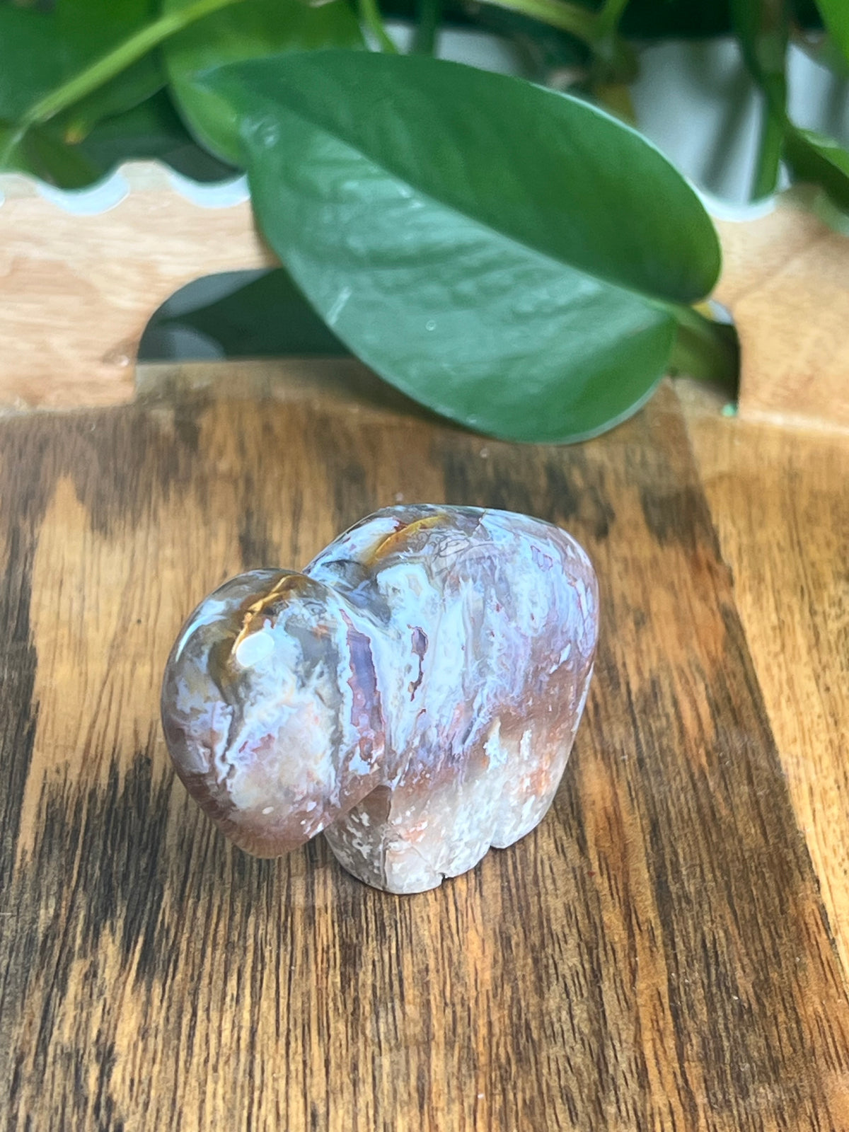 Sumatra Plume Agate Mini Buffalo: DD
