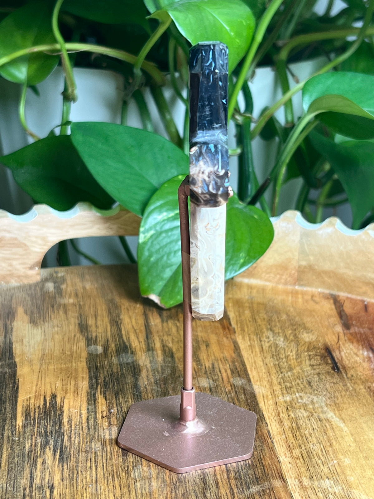 Palm Root Cross: DB
