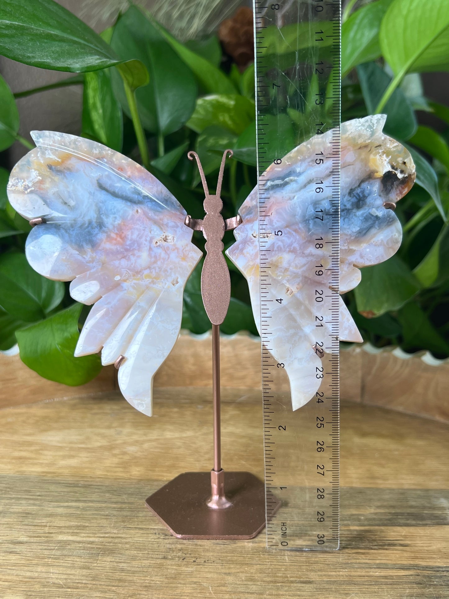 Rainbow Plume Agate Wings