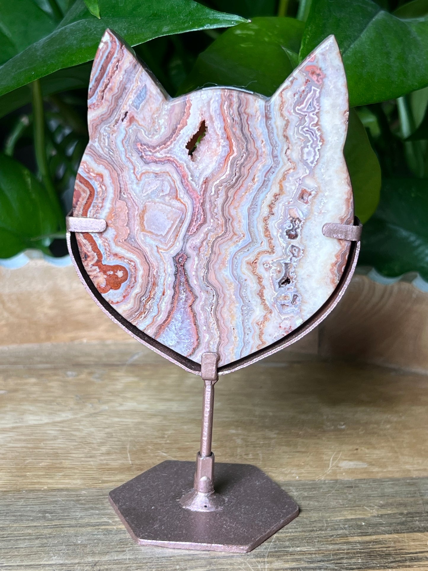 Crazy Lace Agate Cat Head