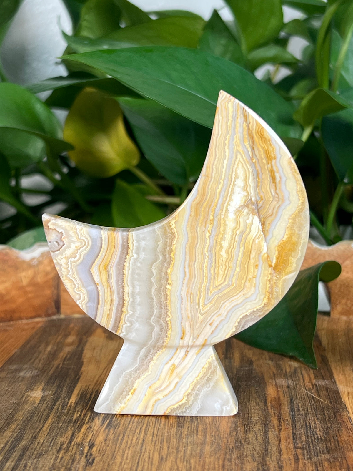 Yellow Crazy Lace Agate Self Standing Moons