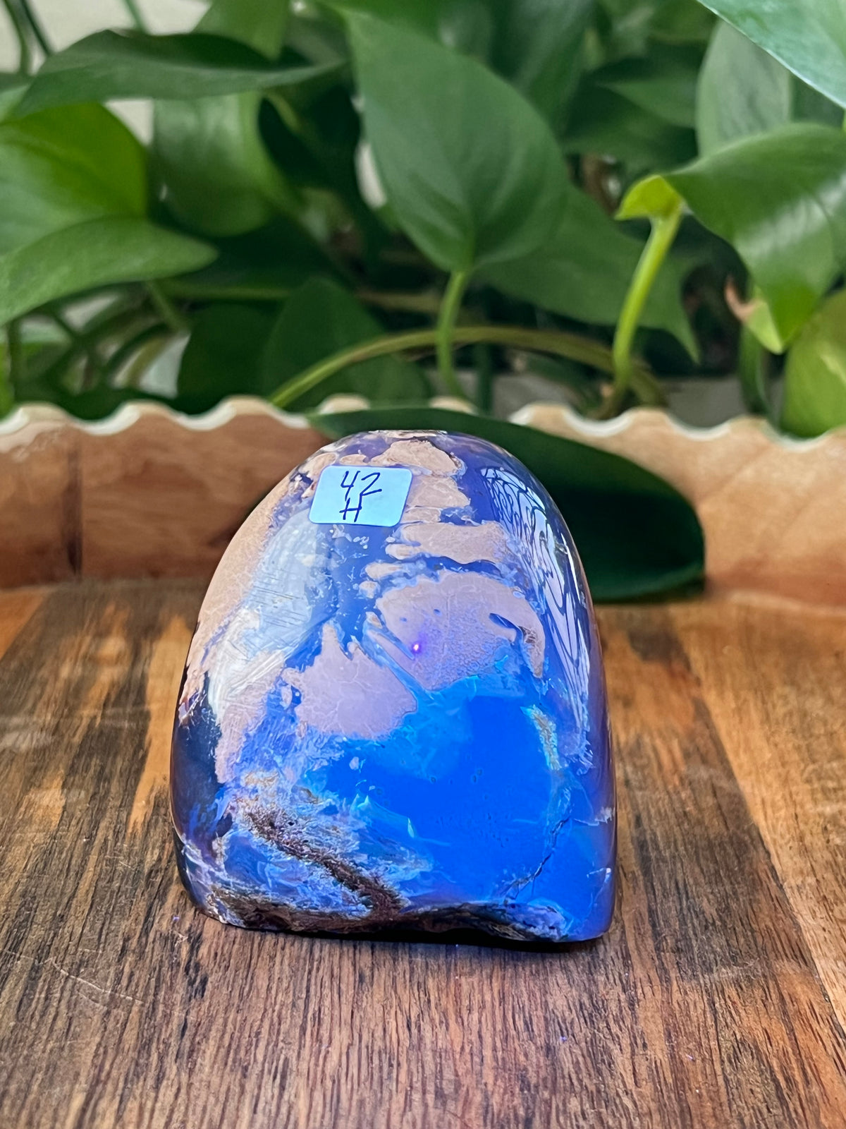 Blue Amber Freeform: H
