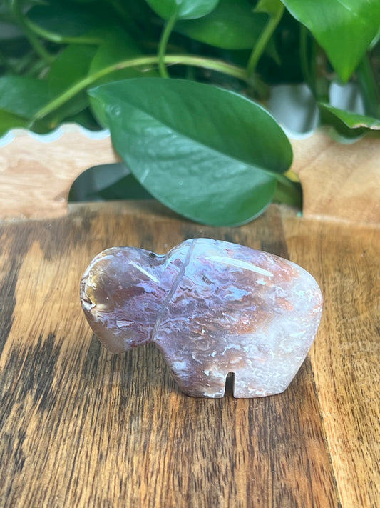 Sumatra Plume Agate Mini Buffalo: DN