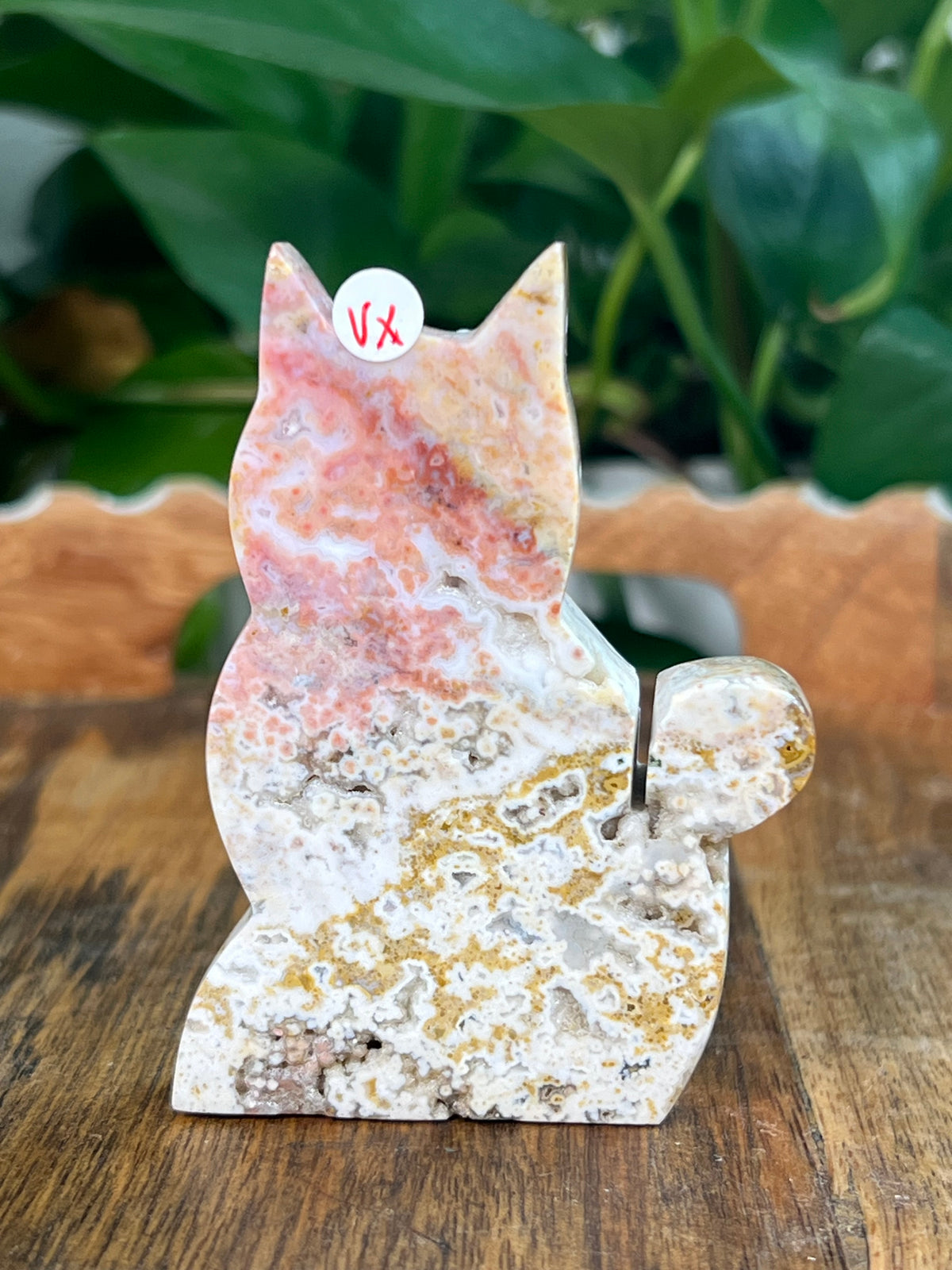 Sea Jasper Cats- Small