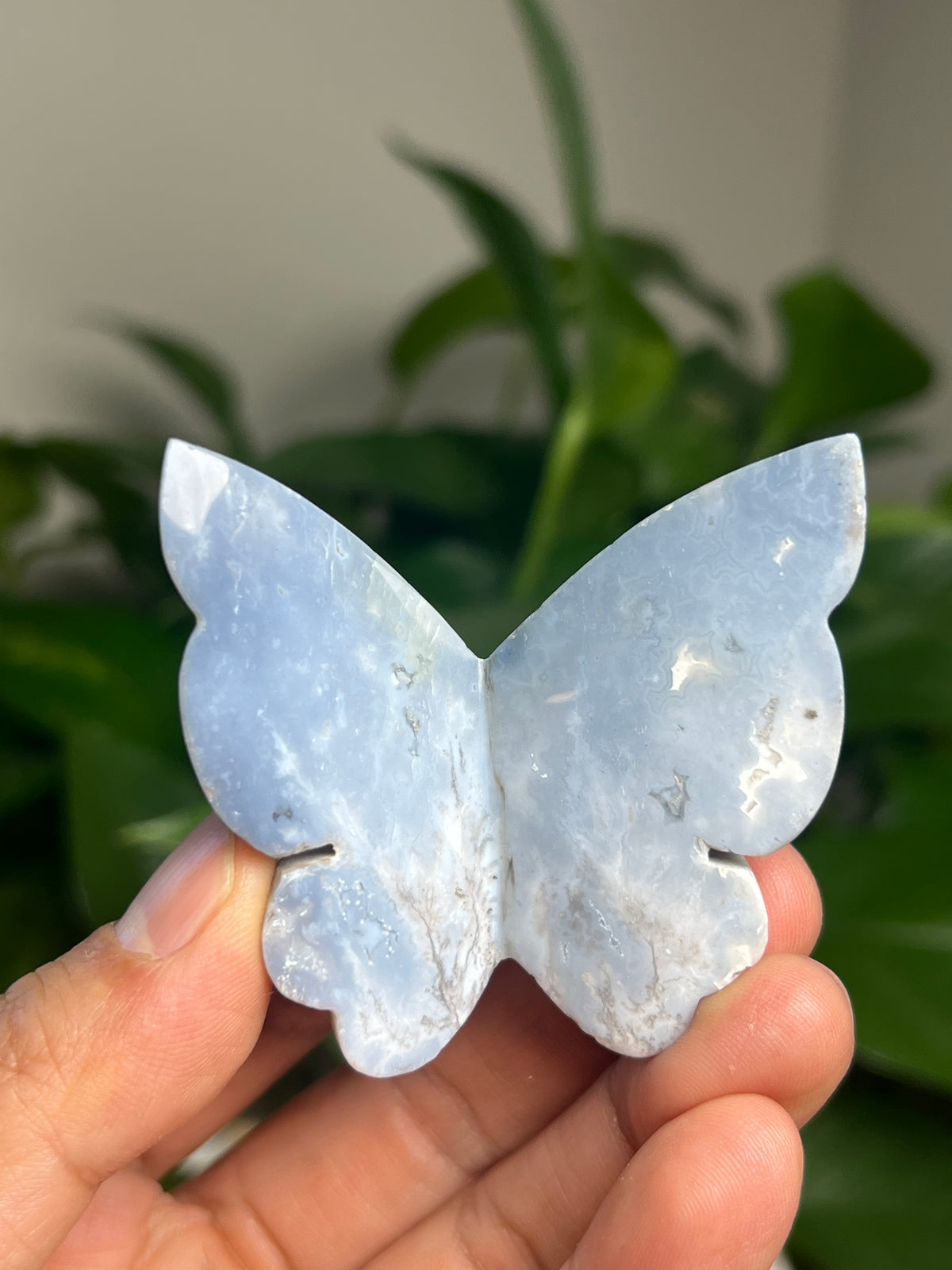 Blue Plume Agate 3D Butterfly: KB