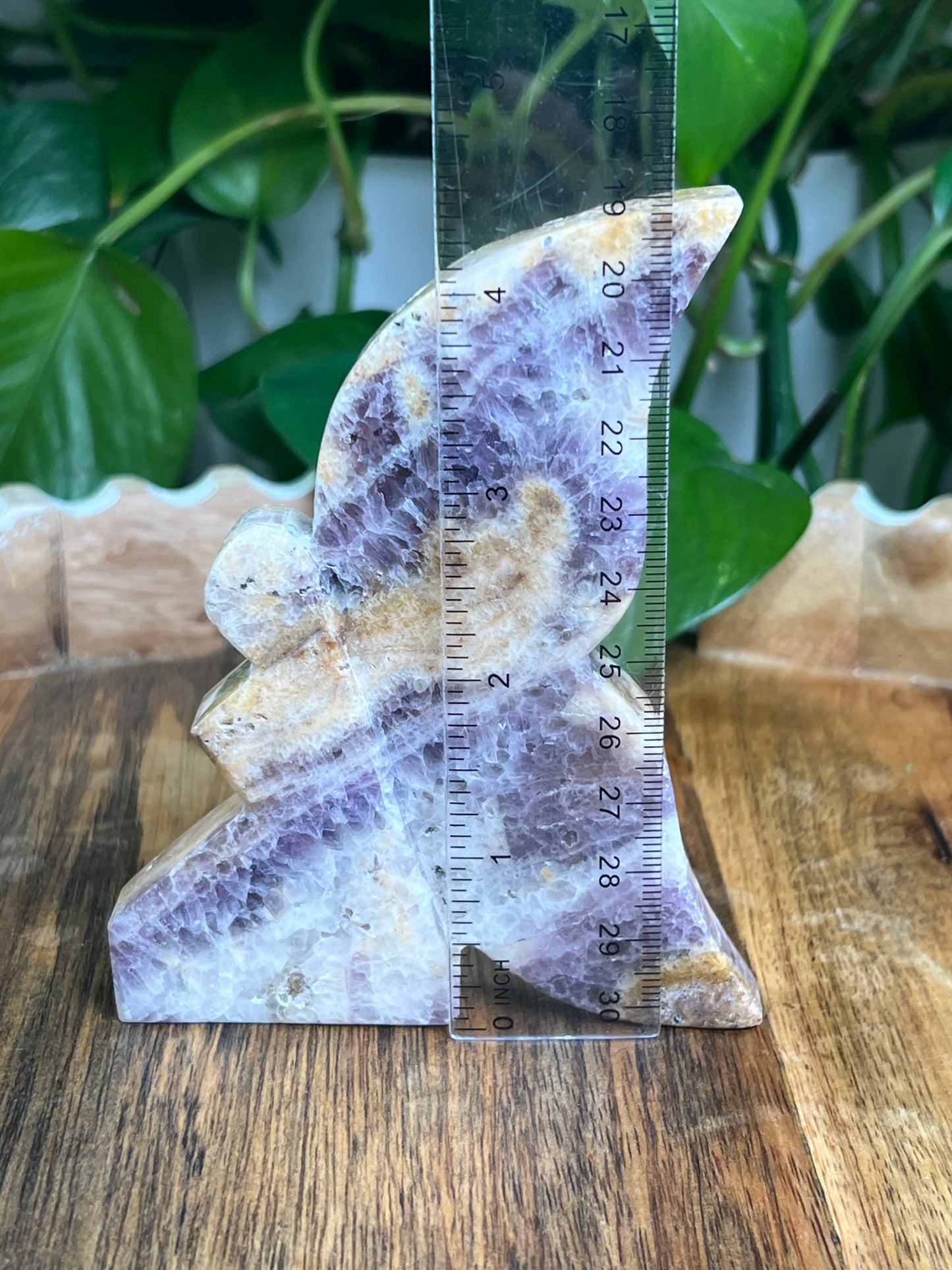 Indonesian Amethyst Fairy: SA