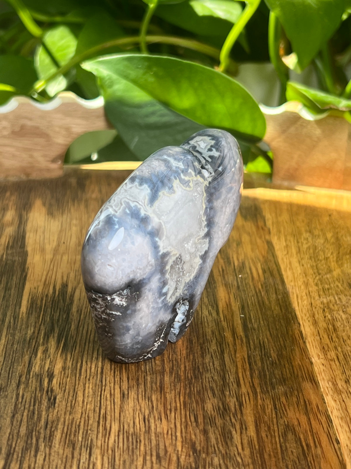 Blue Plume Agate Buffalo: BB