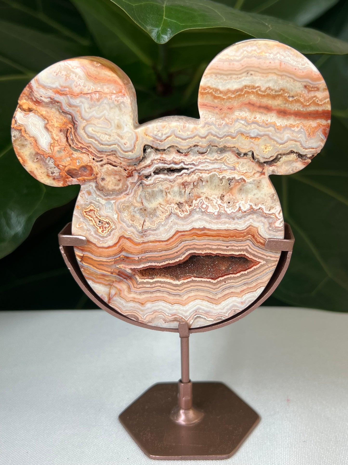 Crazy Lace Agate Bear Head