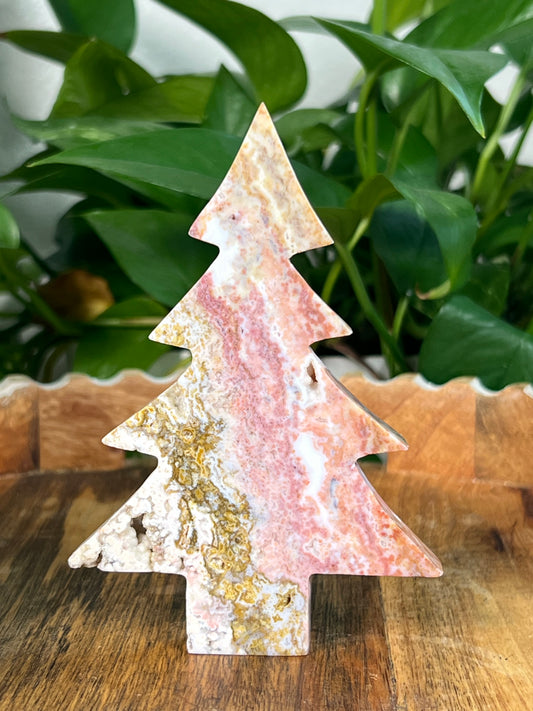 Sea Jasper Tree: AC