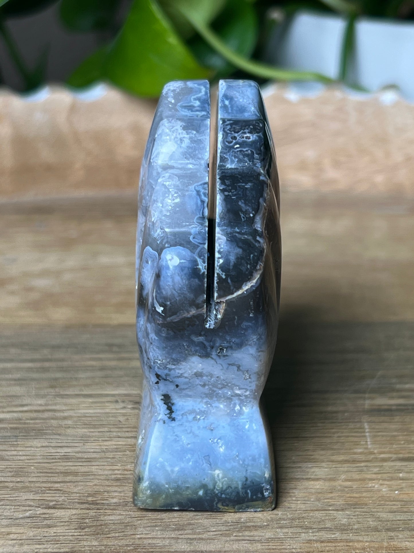 Blue Plume Agate Shell