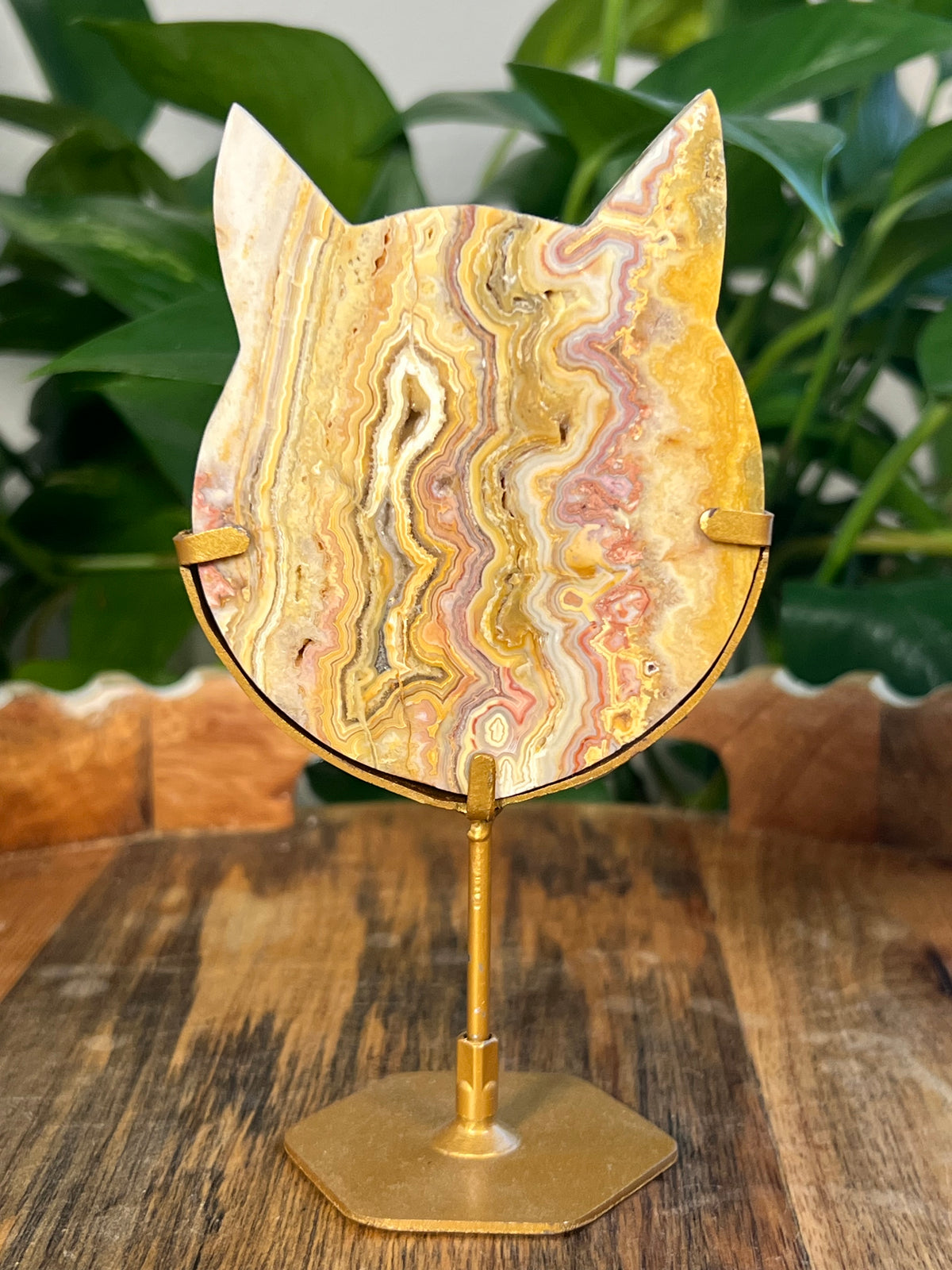 Yellow Crazy Lace Agate Cat Heads