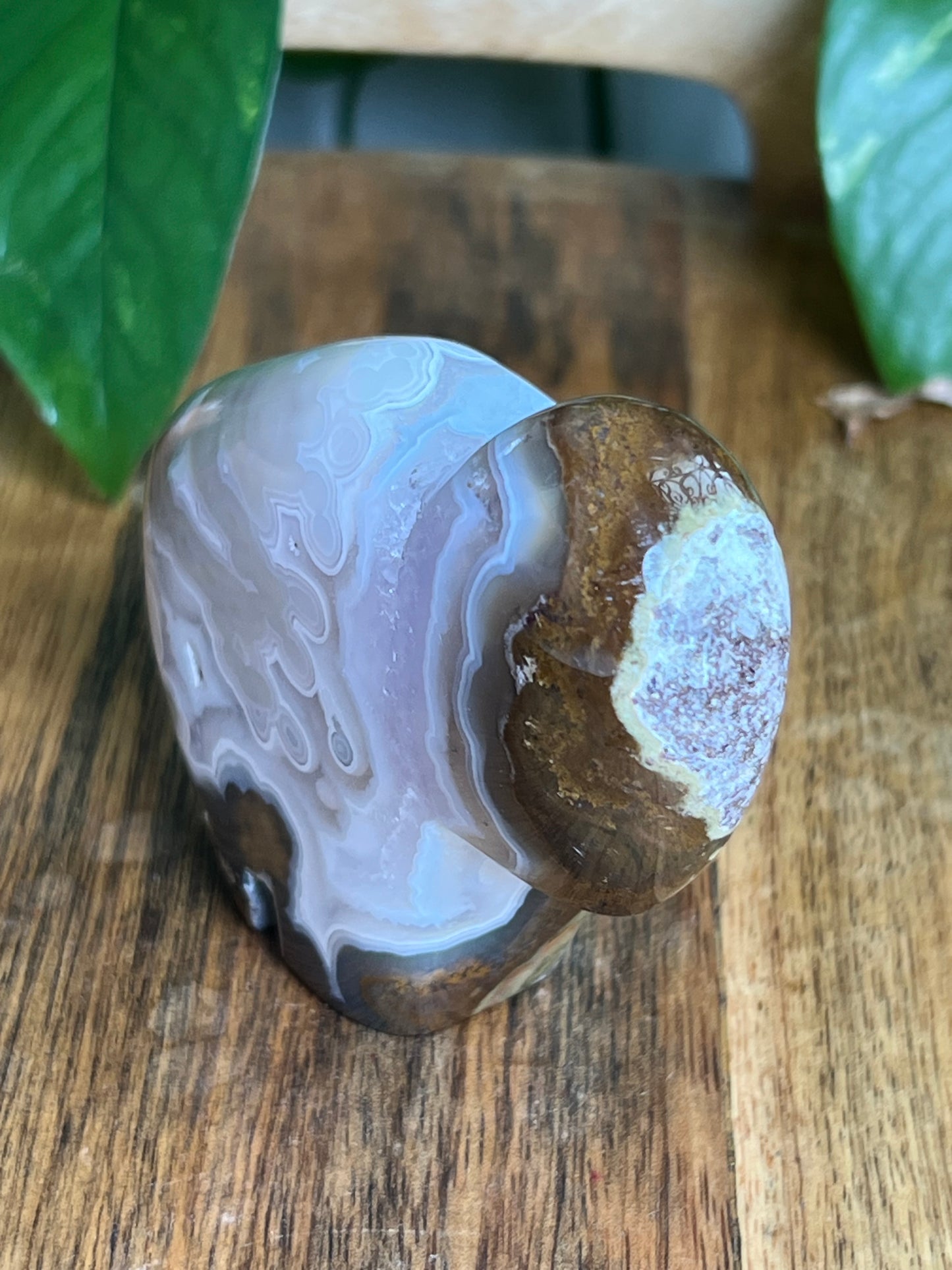 Scenic Moss Agate Buffalo NY