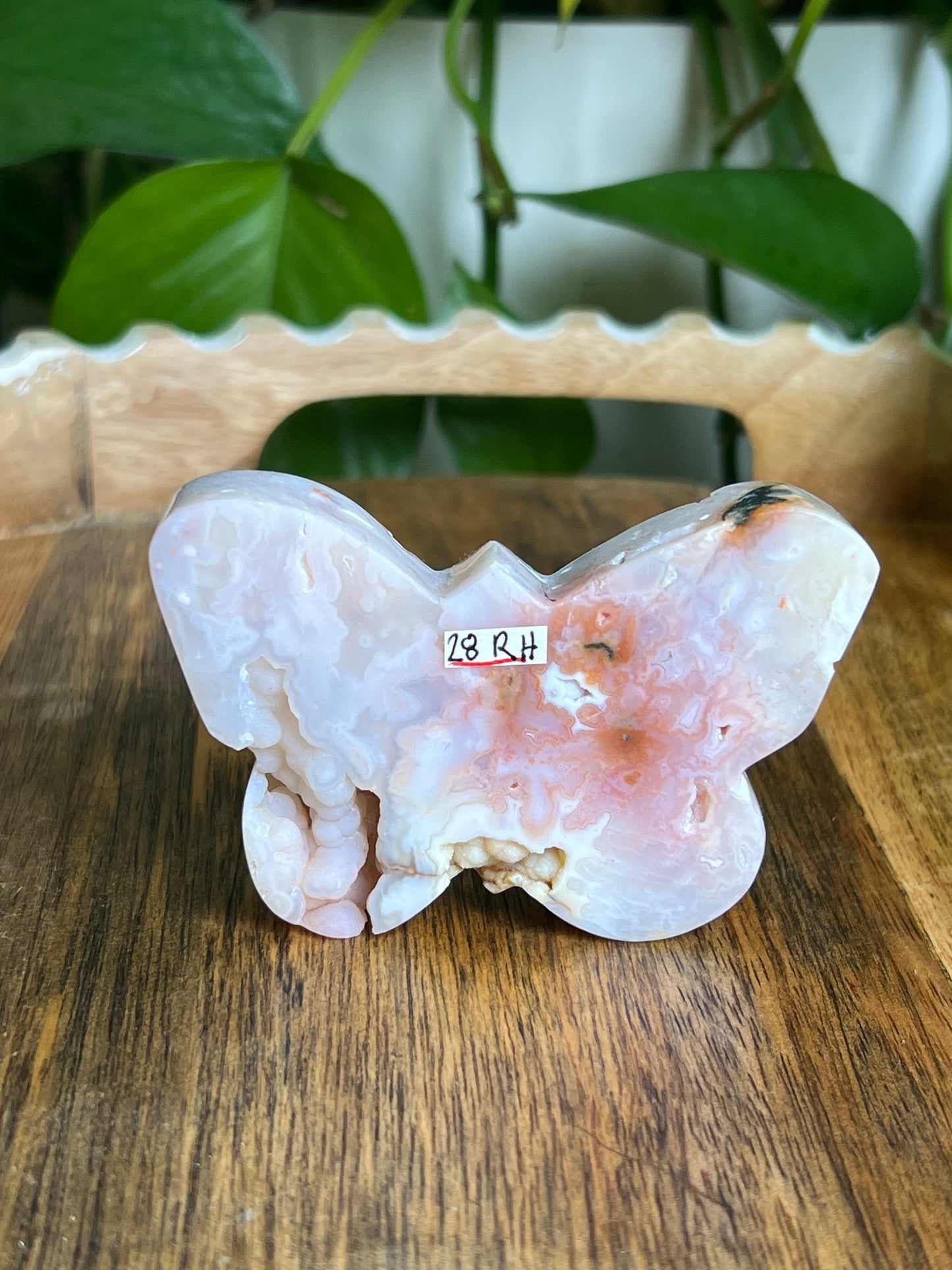 Rainbow Plume Agate Butterfly RH