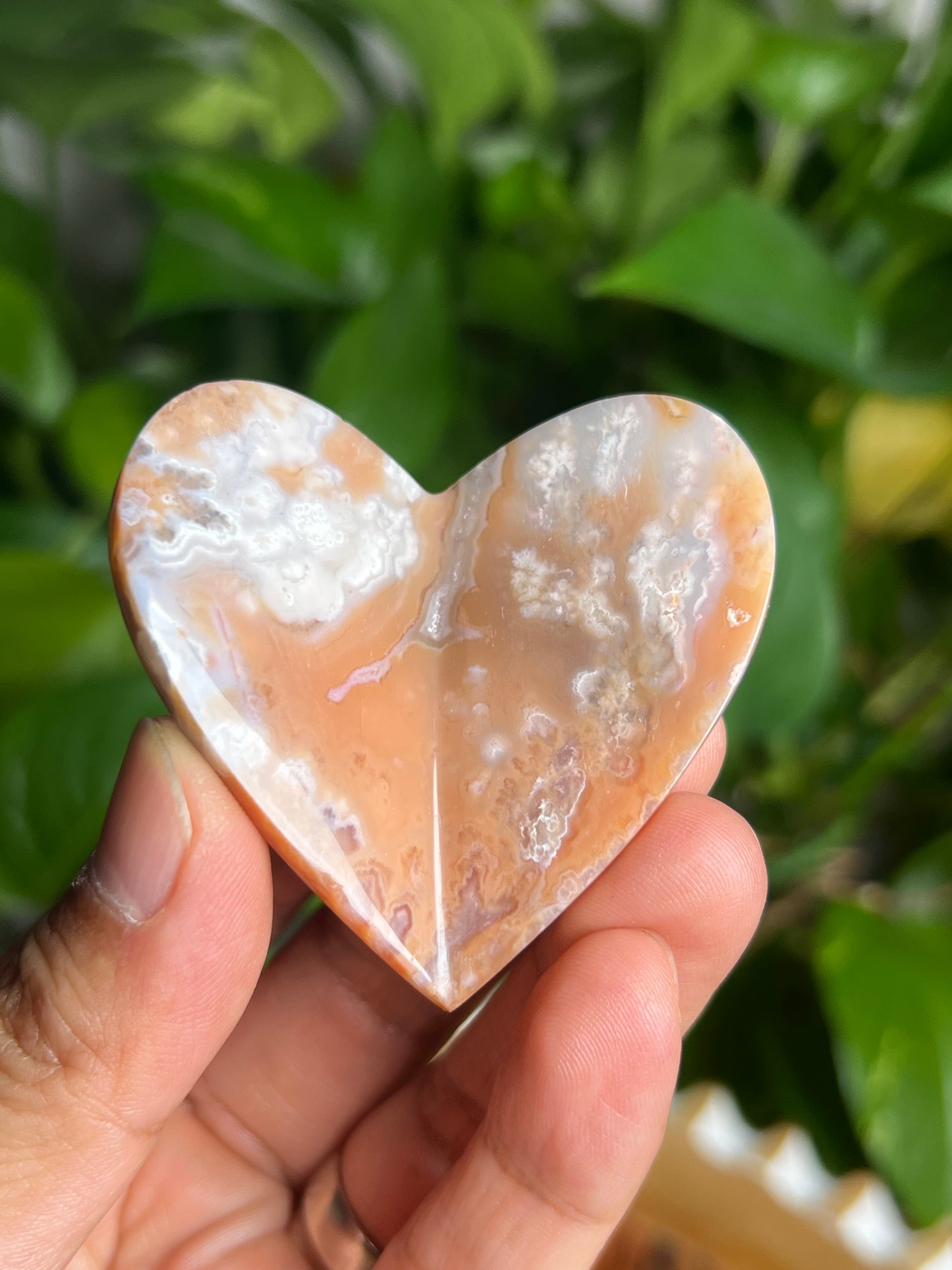 Flower Carnelian 3D Butterfly TK
