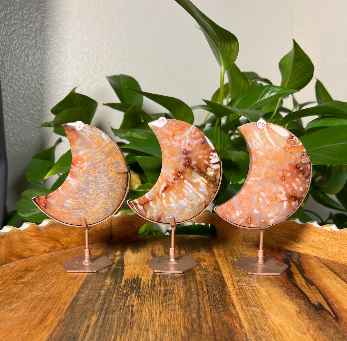 Carnelian Moons
