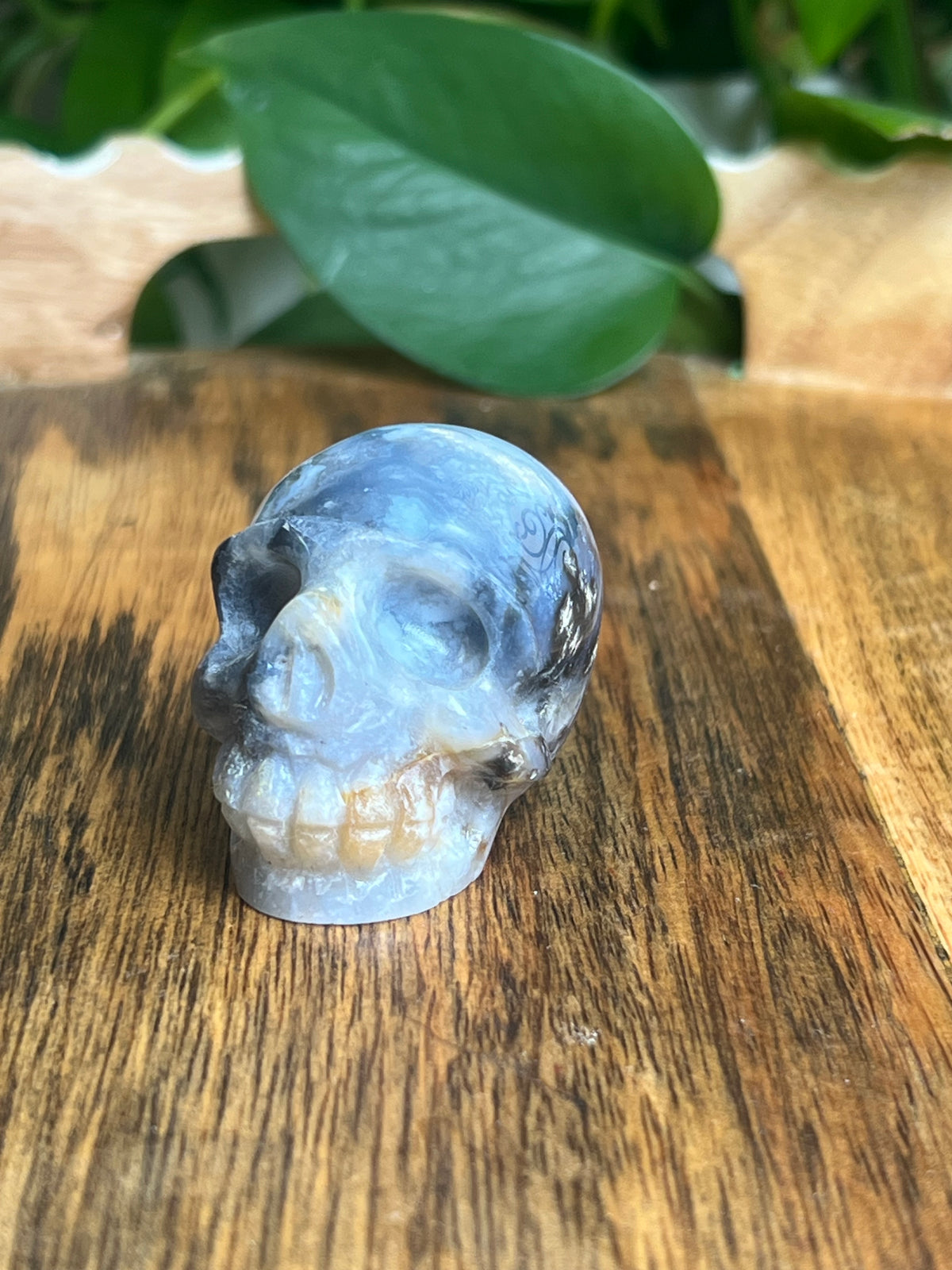 Blue Plume Agate Skull: H