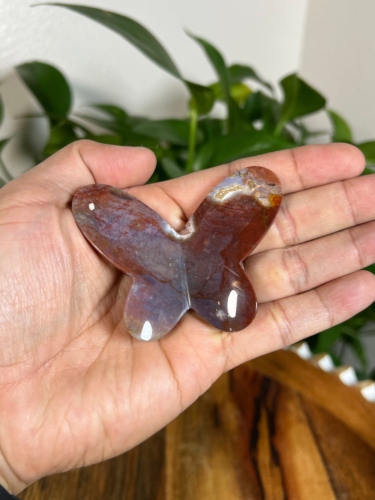 River Jasper 3D Butterflies