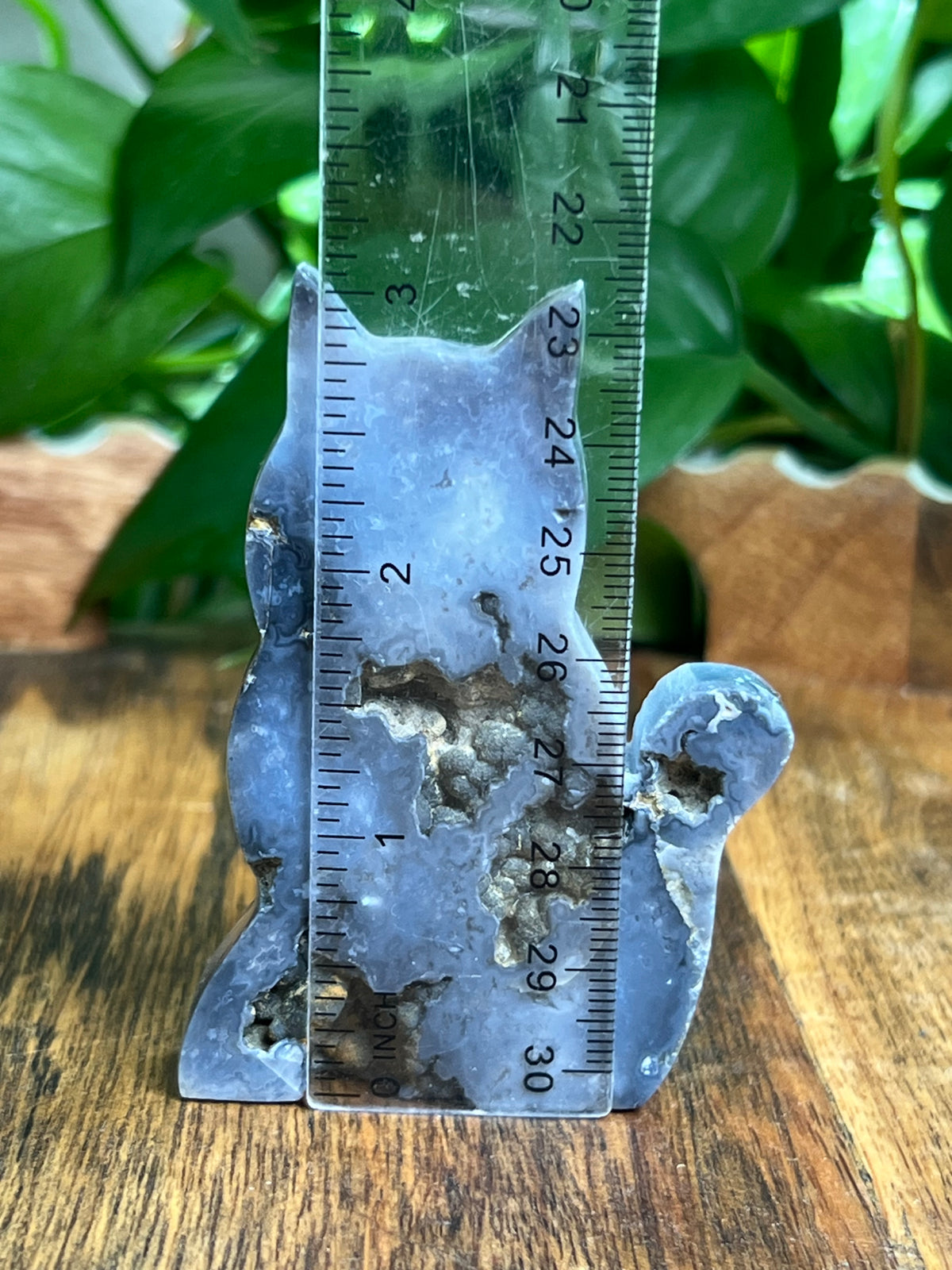 Blue Plume Agate Cat: BC