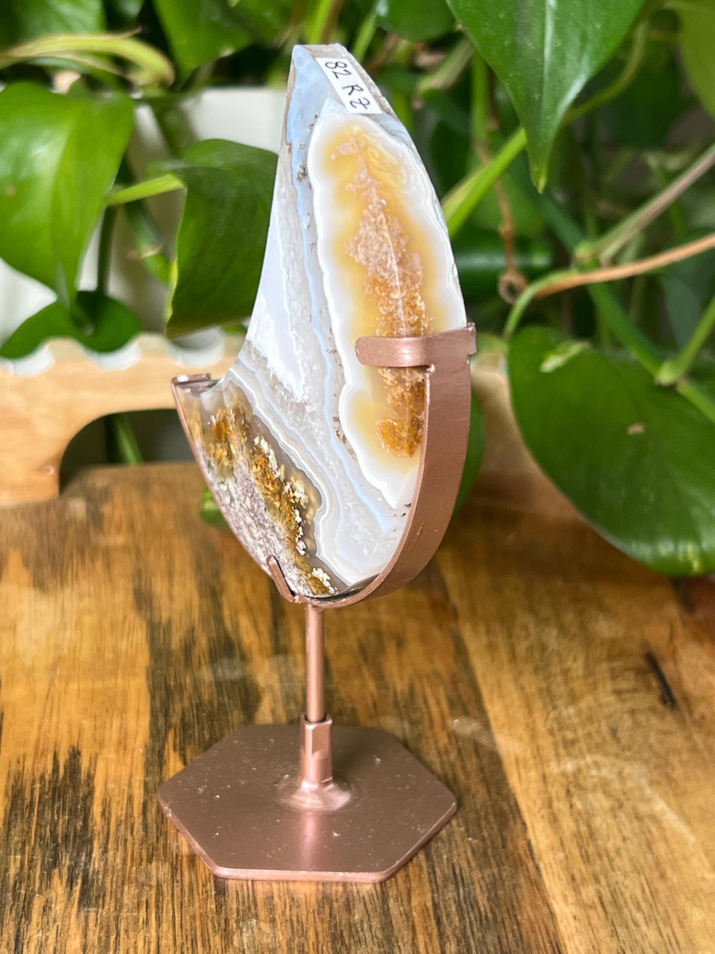 Scenic Moss Agate Moon