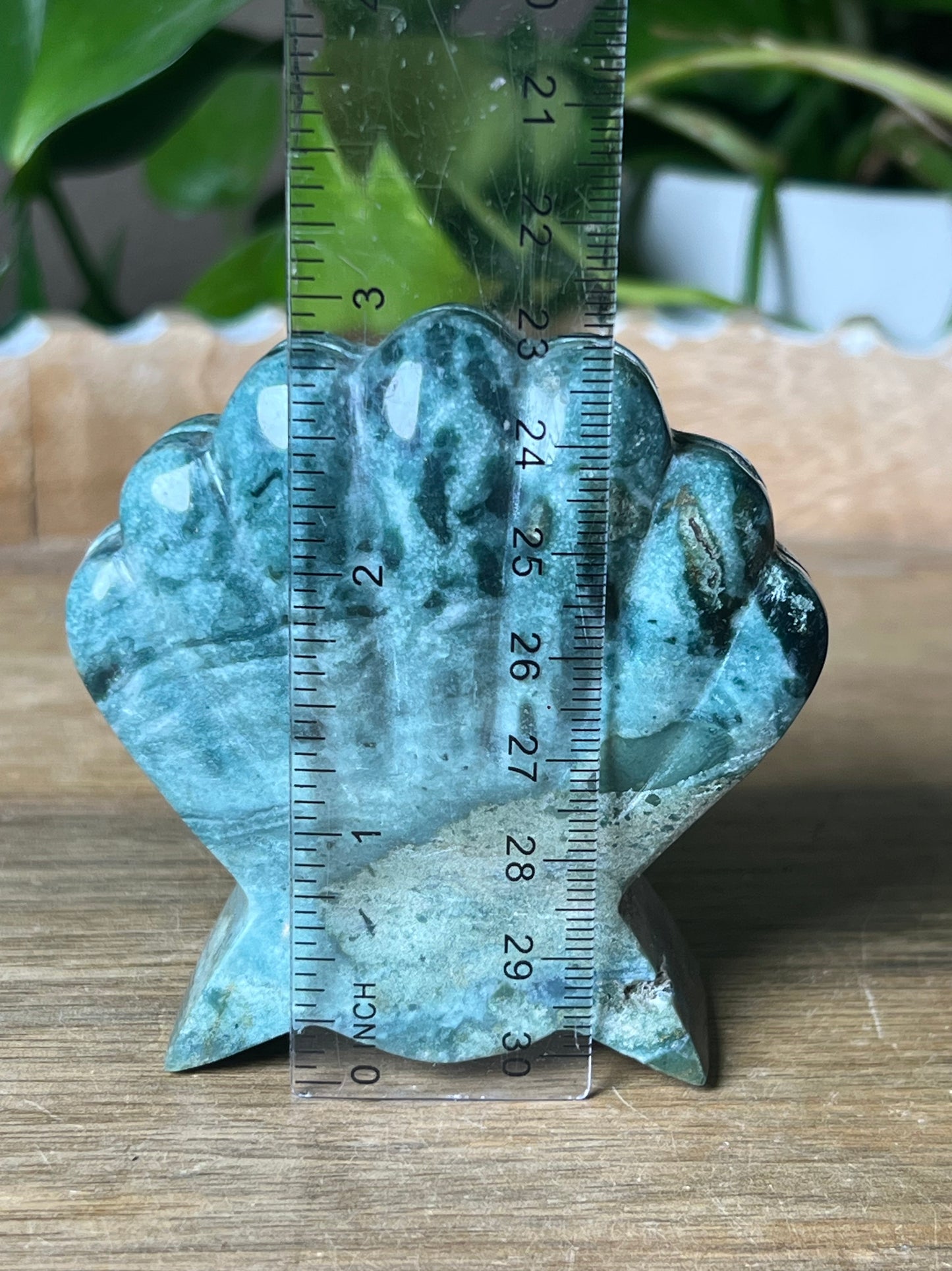 Blue Green Jasper Shell