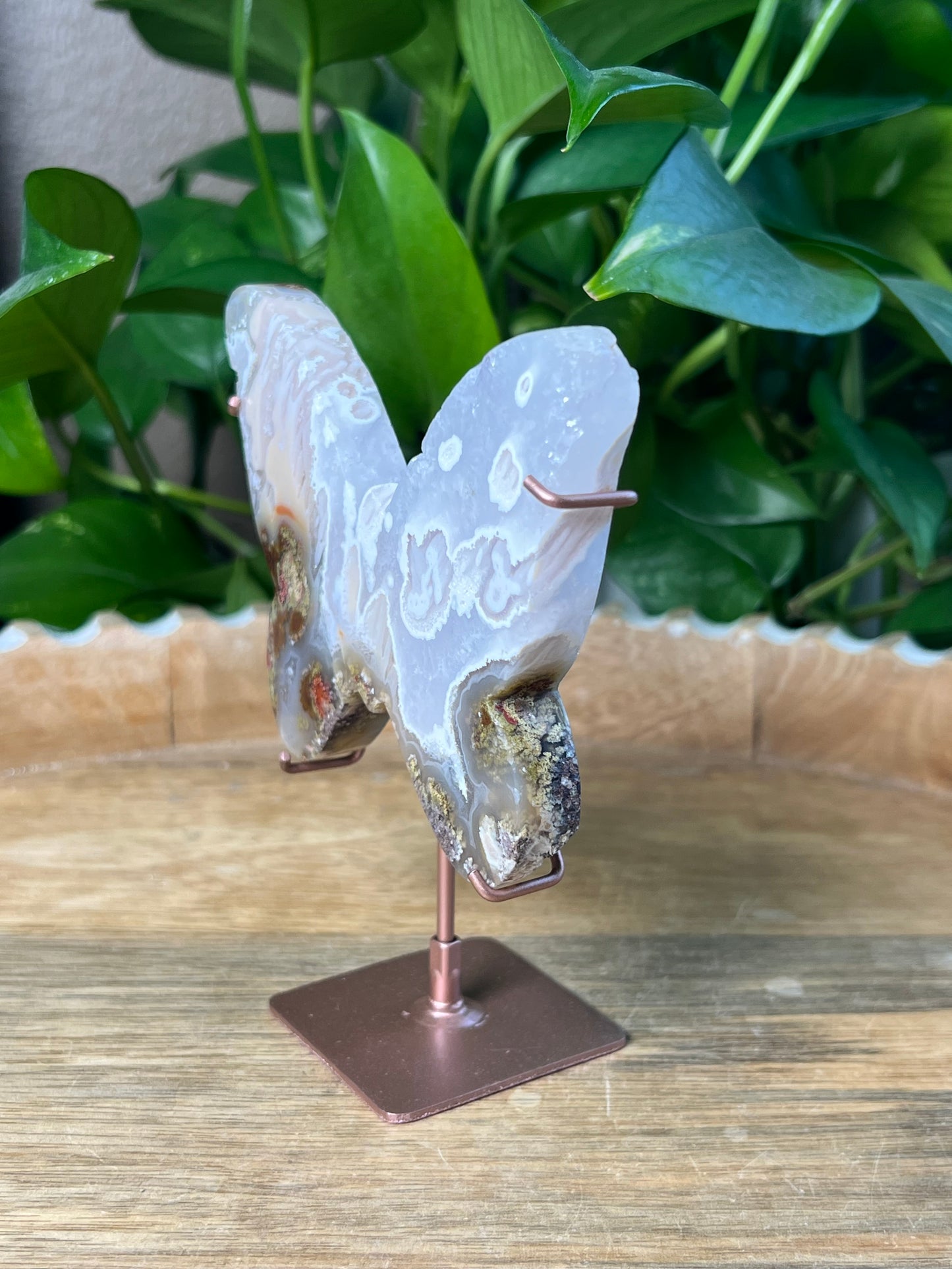 Scenic Moss Agate Butterfly