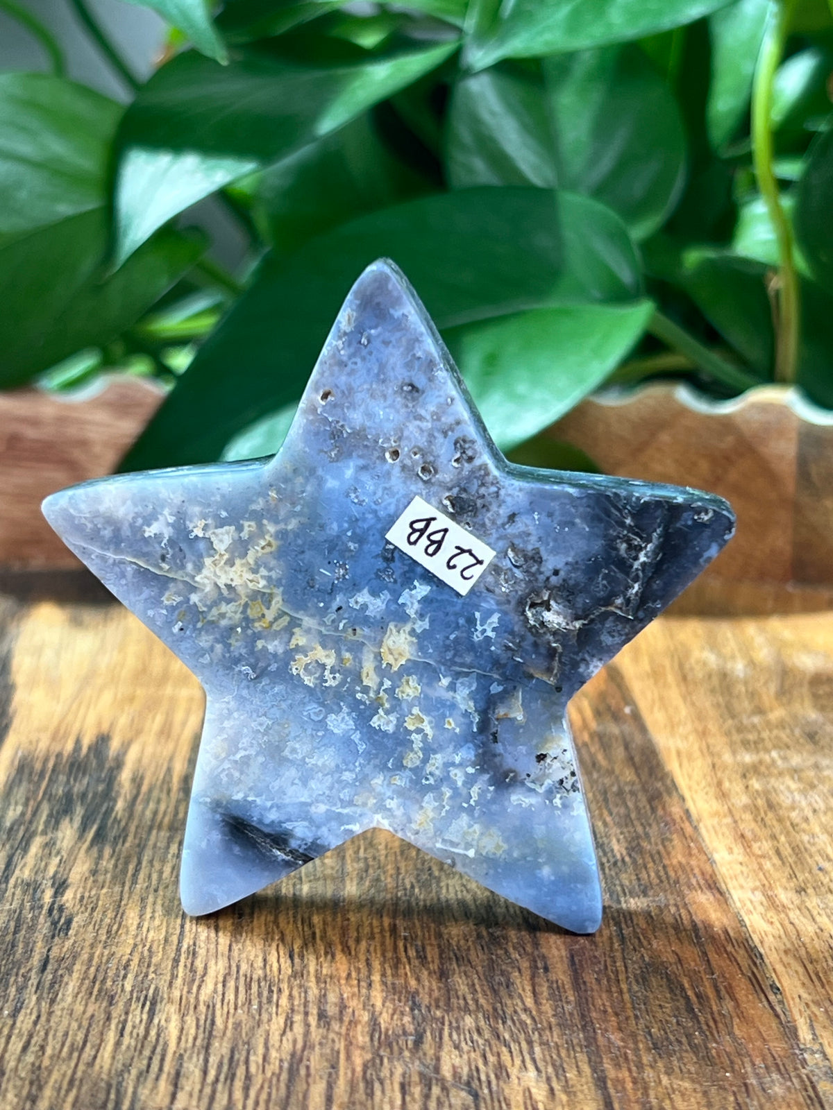 Blue Plume Agate Star: BB