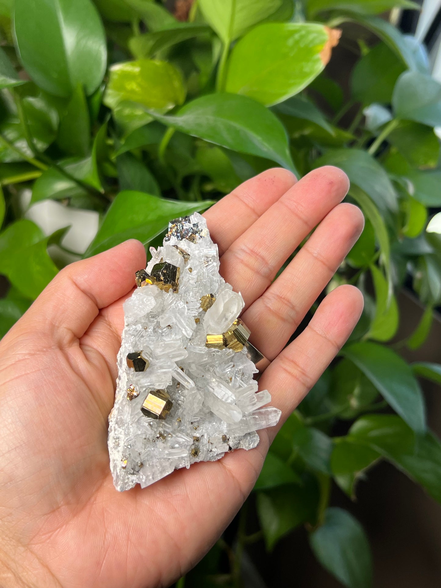 Rainbow Pyrite Quartz