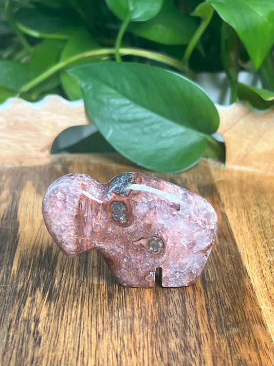 Marcasite Mini Buffalo: MK