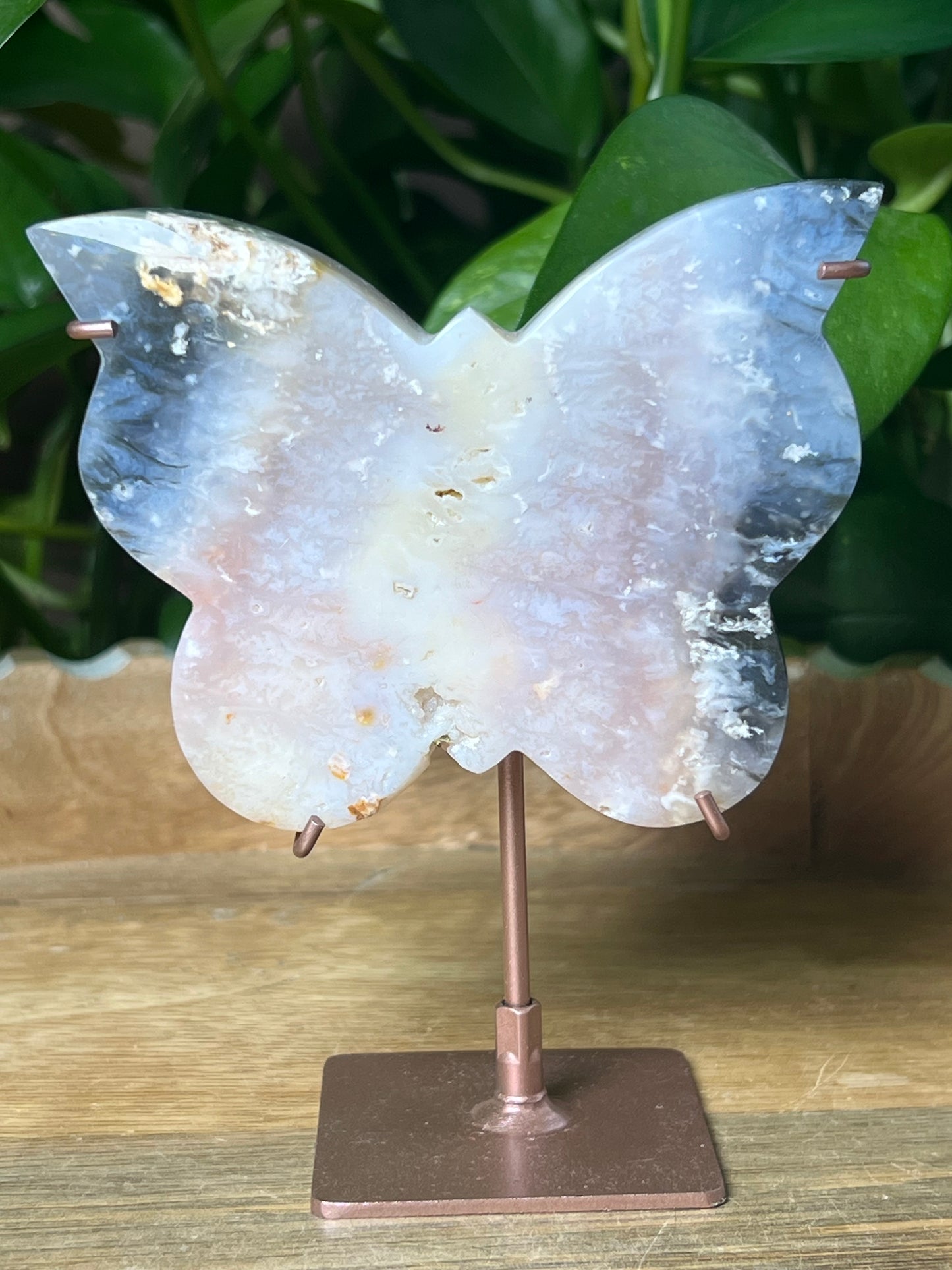 Rainbow Plume Agate Butterfly