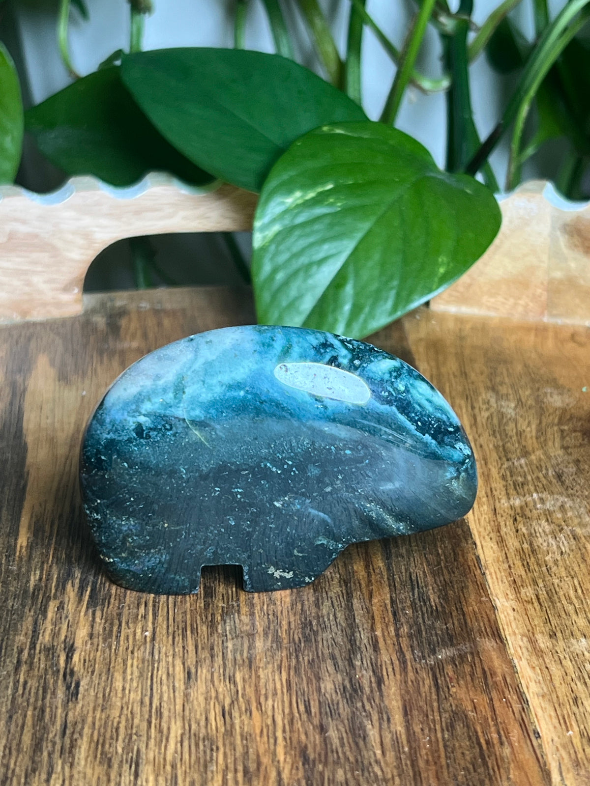 Blue Green Jasper Bear: K
