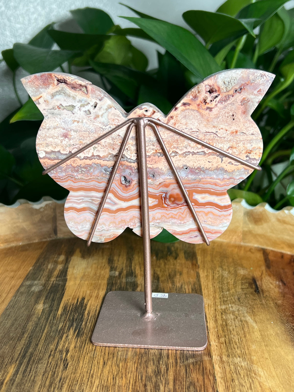 Crazy Lace Agate Butterfly: D