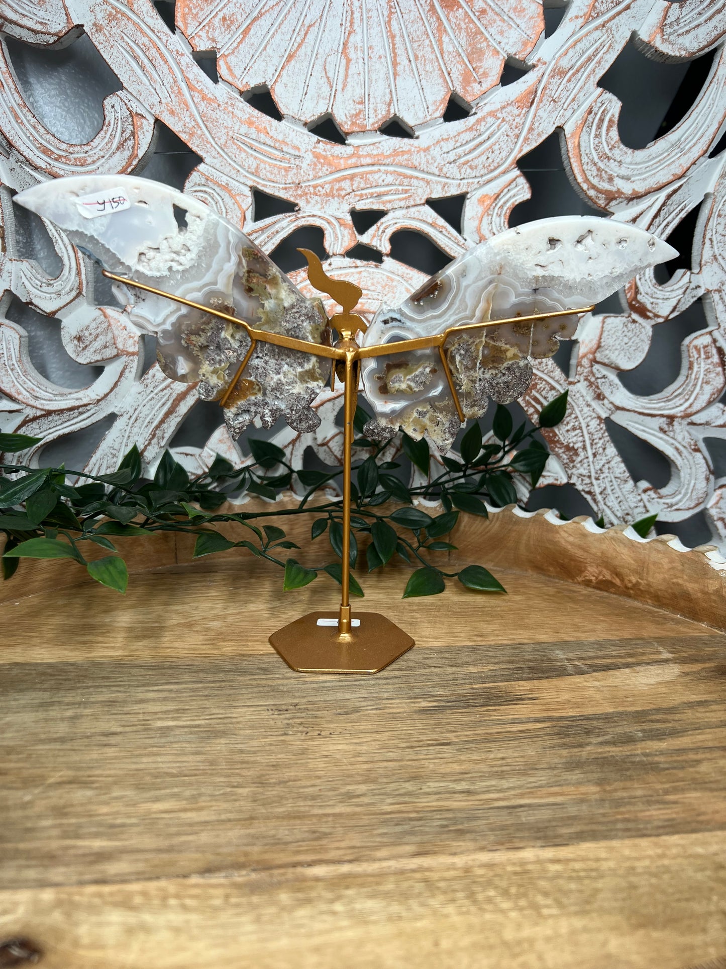 Scenic Moss Agate Wings