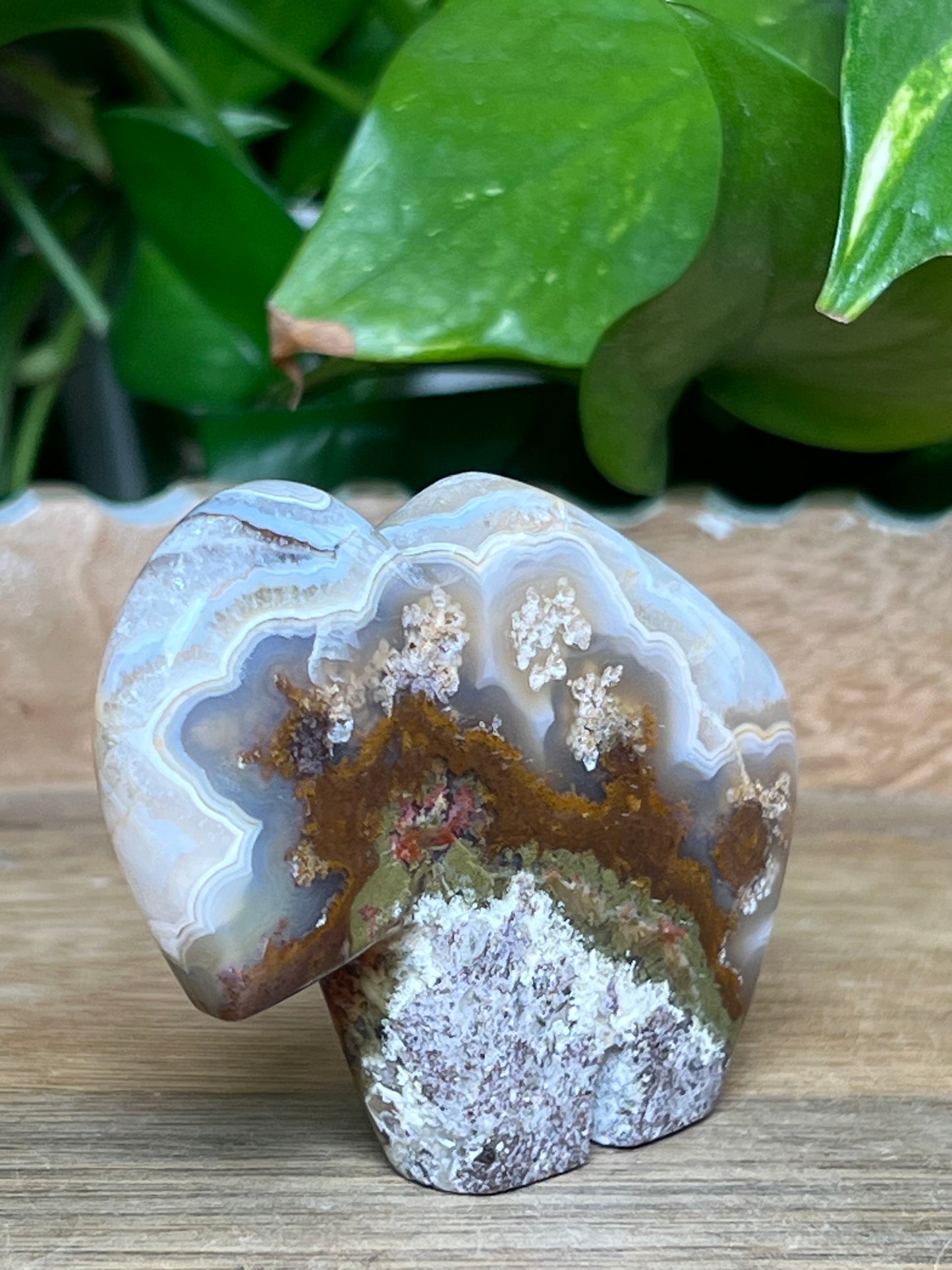 Scenic Moss Agate Buffalo