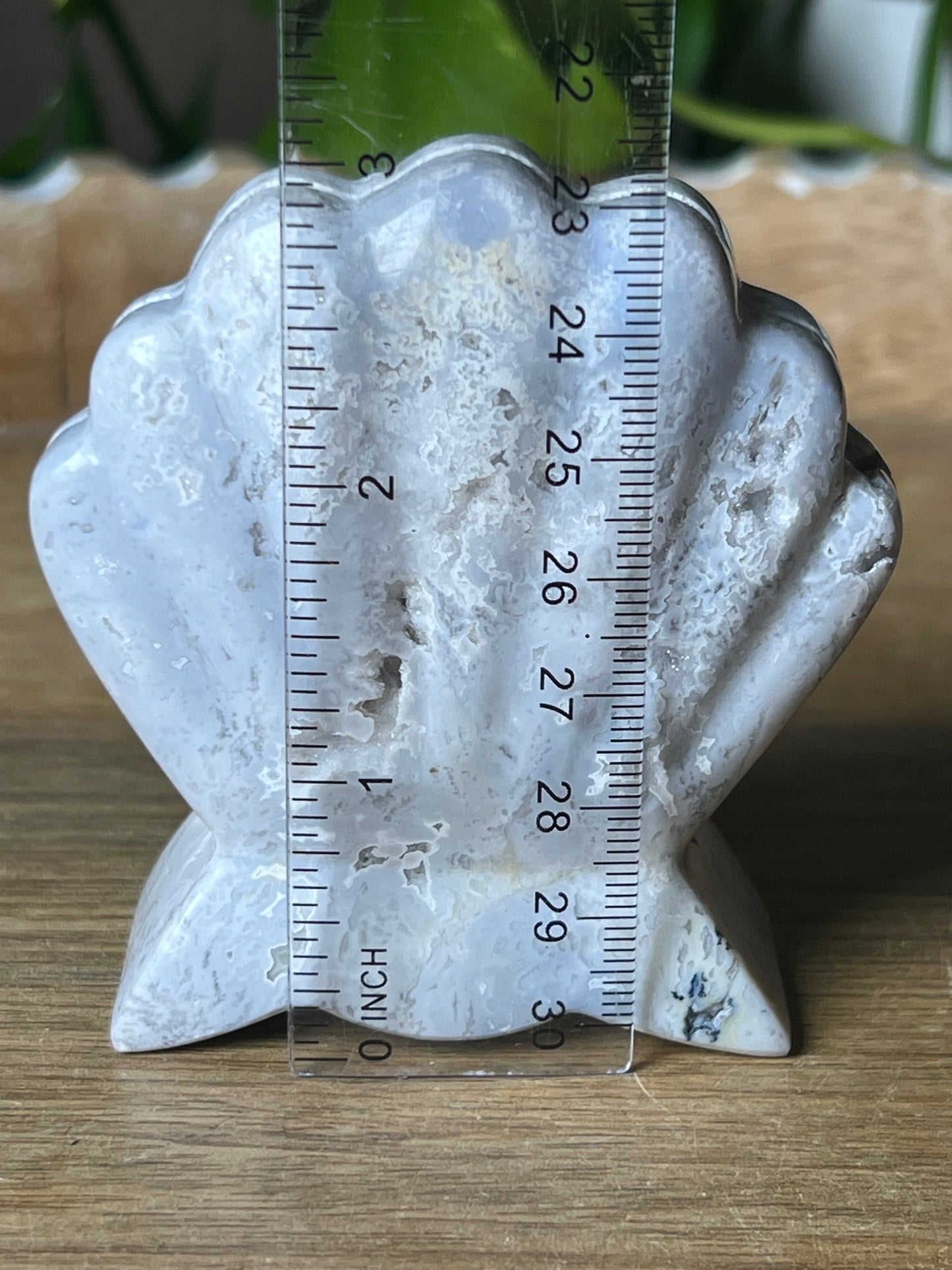 Blue Plume Agate Shell