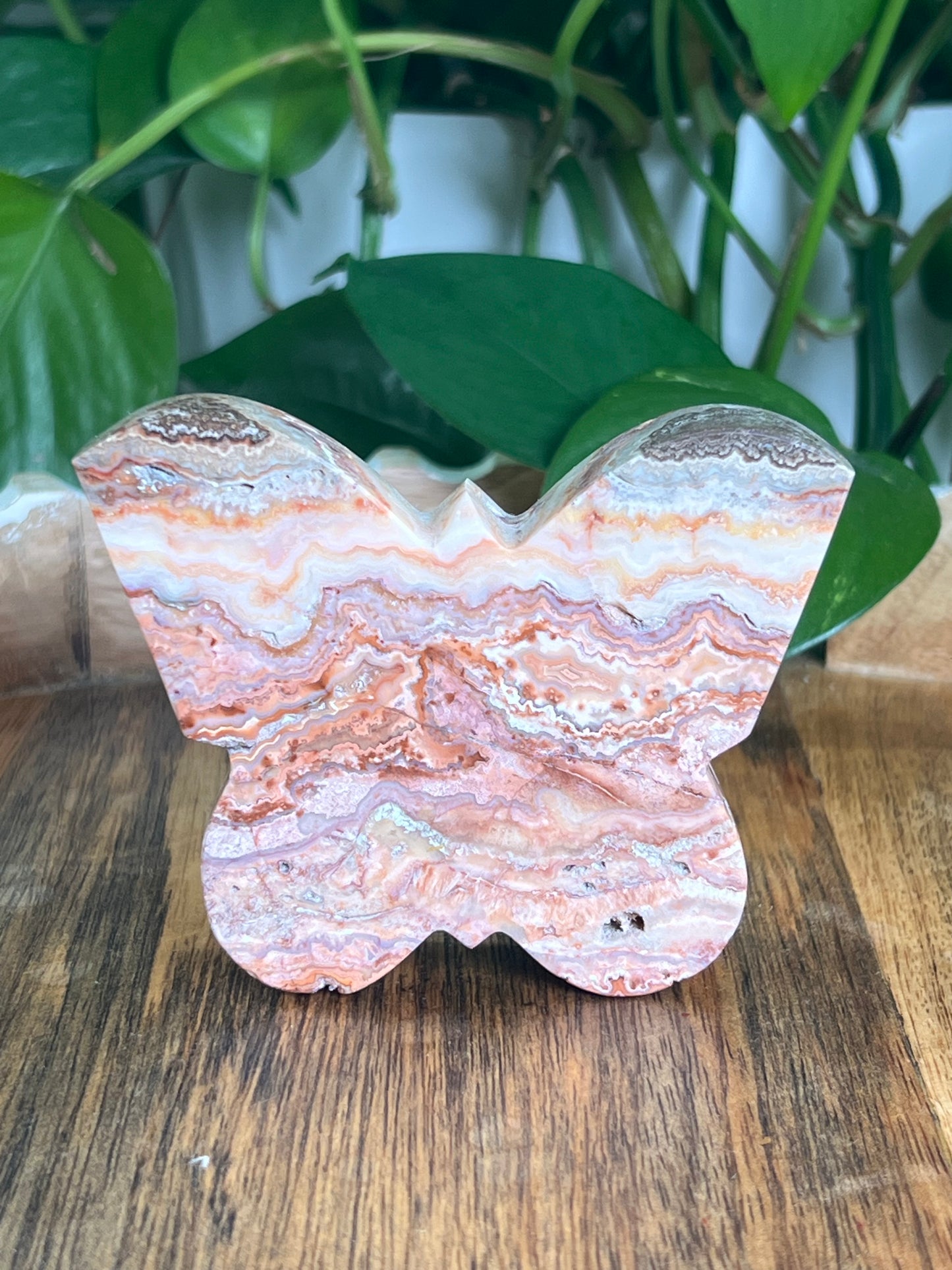 Crazy Lace Agate Butterfly: C